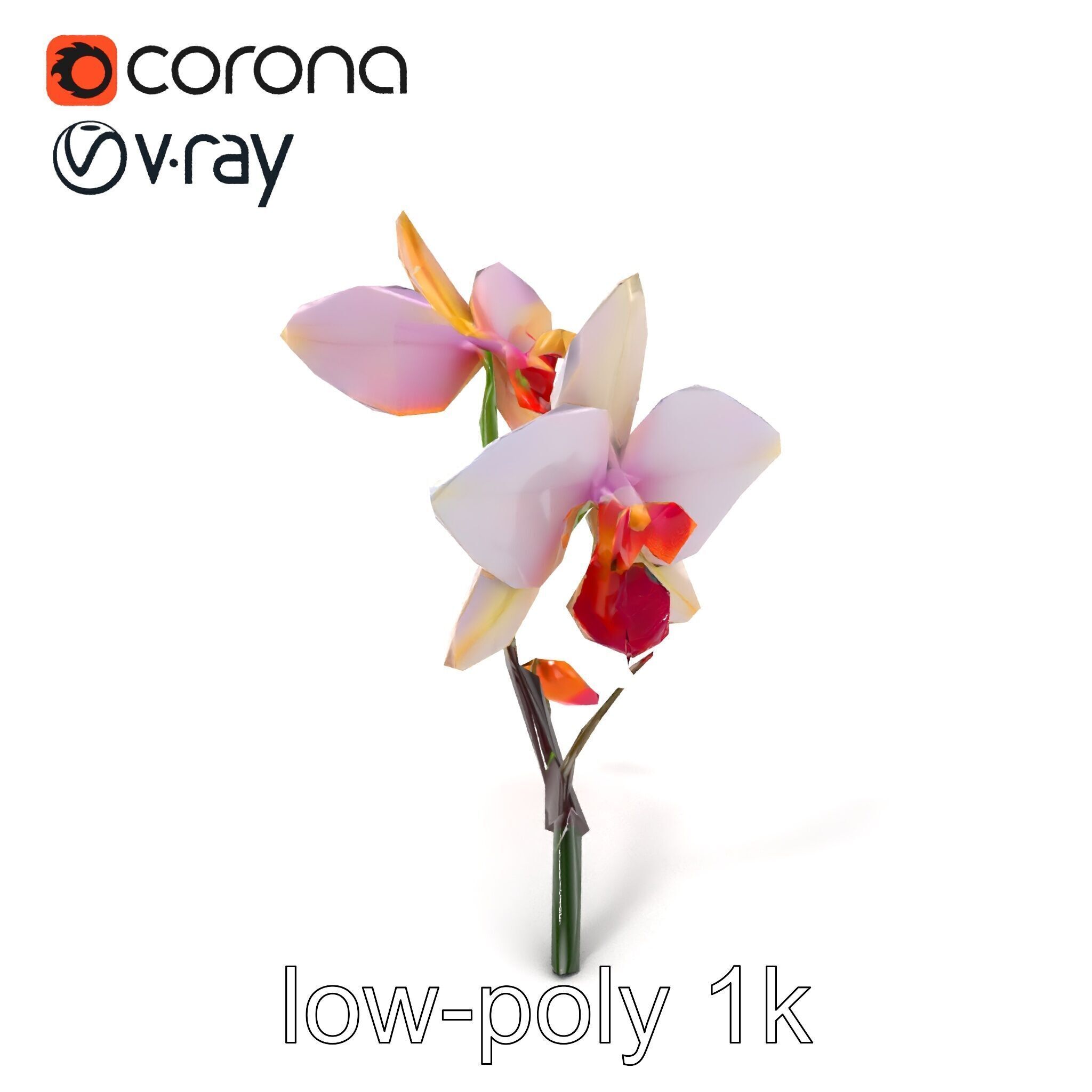 Dendrobium Orchid Floral Diversity model pack Low-poly 3D model_4