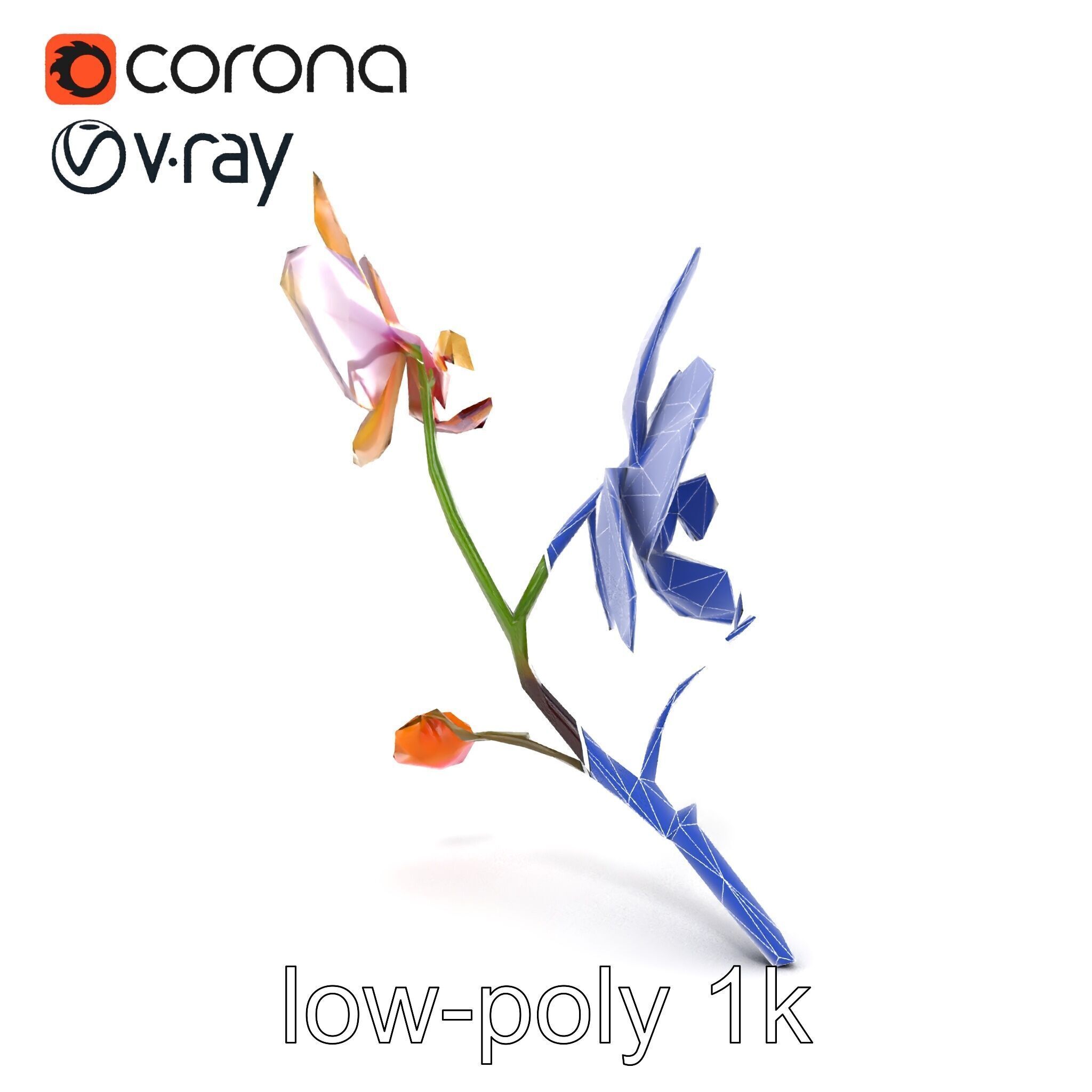 Dendrobium Orchid Floral Diversity model pack Low-poly 3D model_15