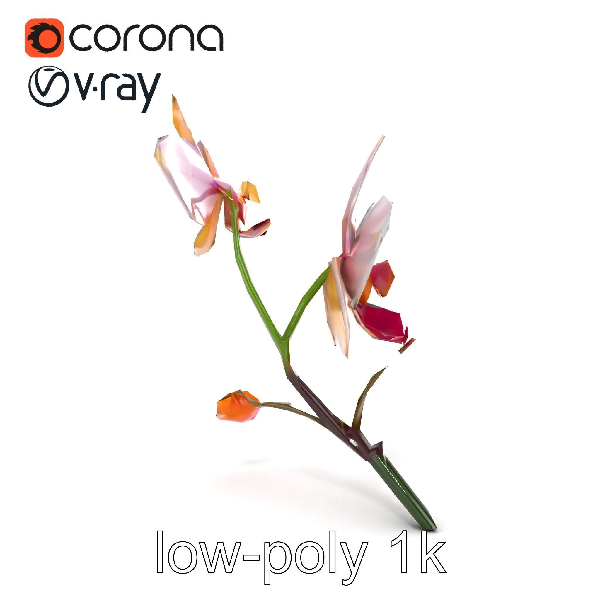 Dendrobium Orchid Floral Diversity model pack Low-poly 3D model_12