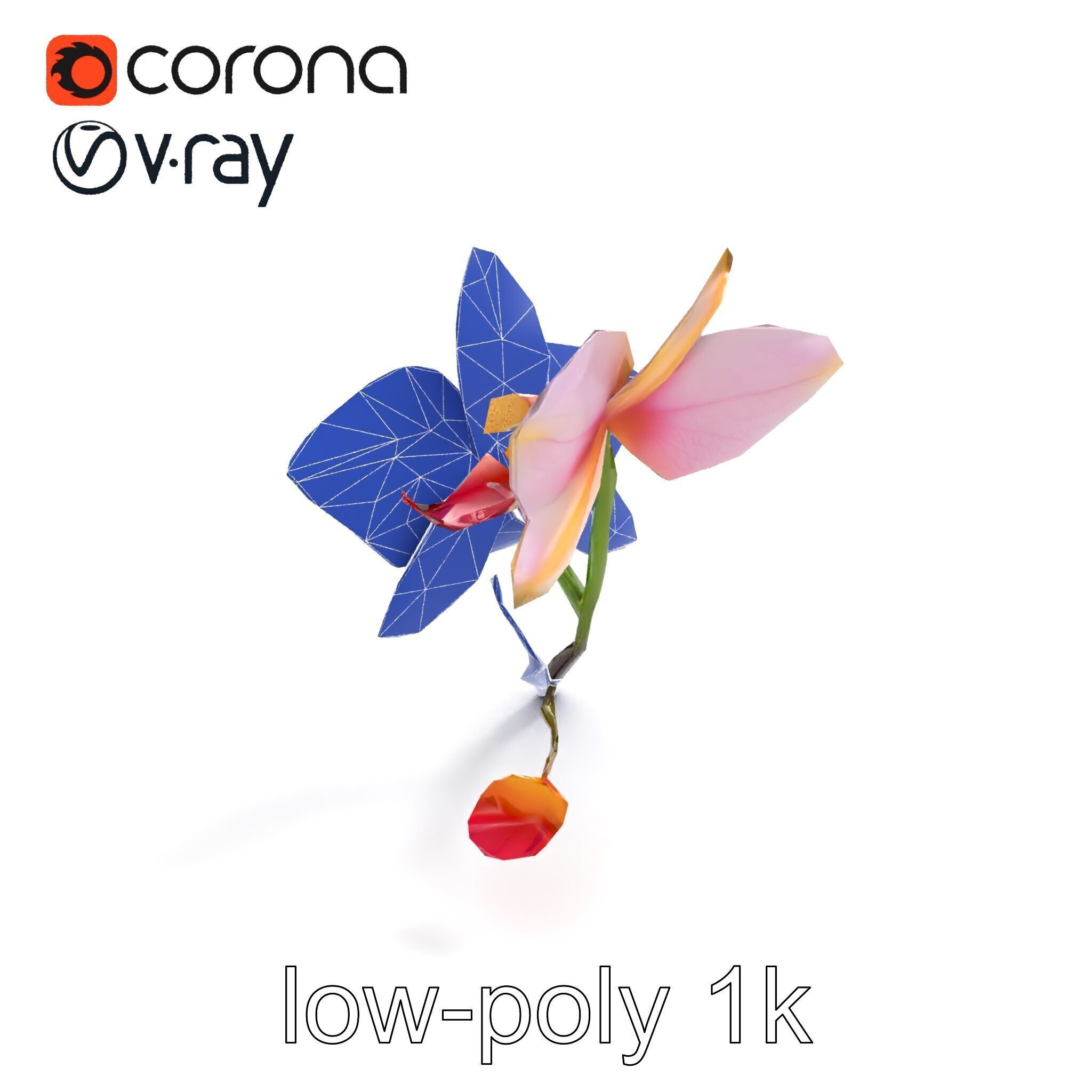 Dendrobium Orchid Floral Diversity model pack Low-poly 3D model_24