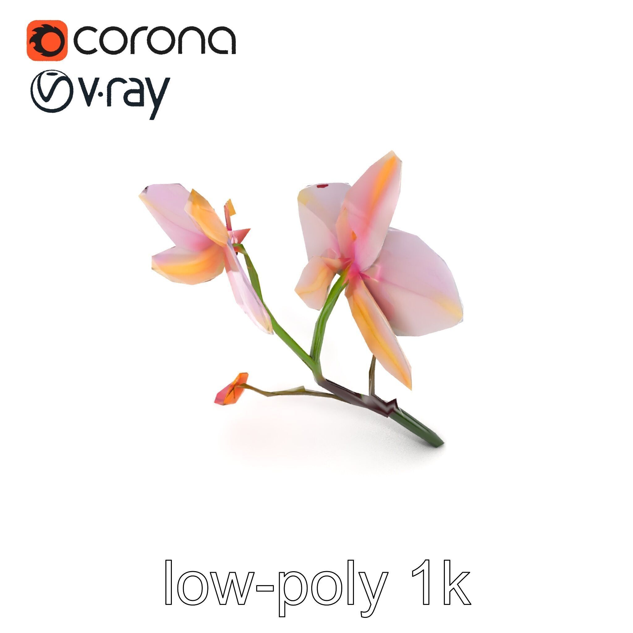 Dendrobium Orchid Floral Diversity model pack Low-poly 3D model_16