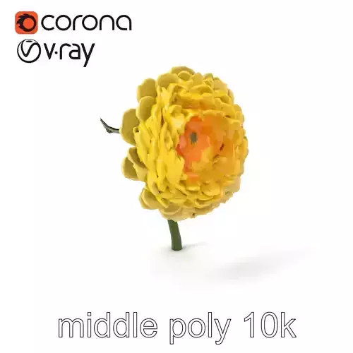 Ranunculus Double Flower Realistic Model Pack