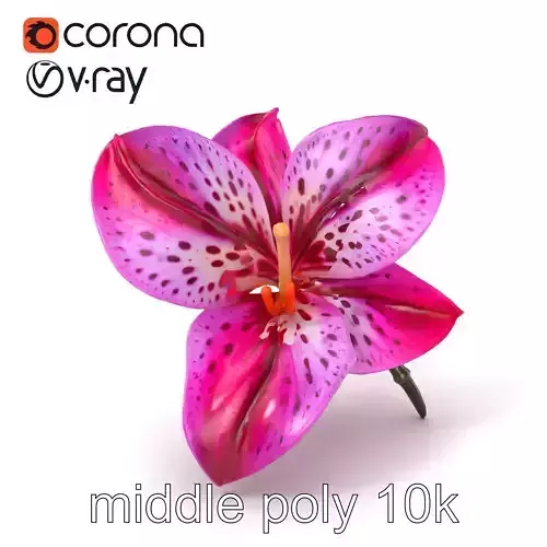 Vanda Orchid Flower Spot Pattern model pack Low-poly 3D model