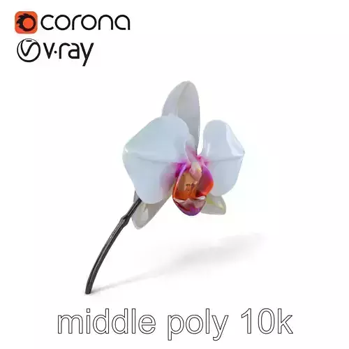 Phalaenopsis Orchid Floral Arrangement model pack Low-poly 3D model