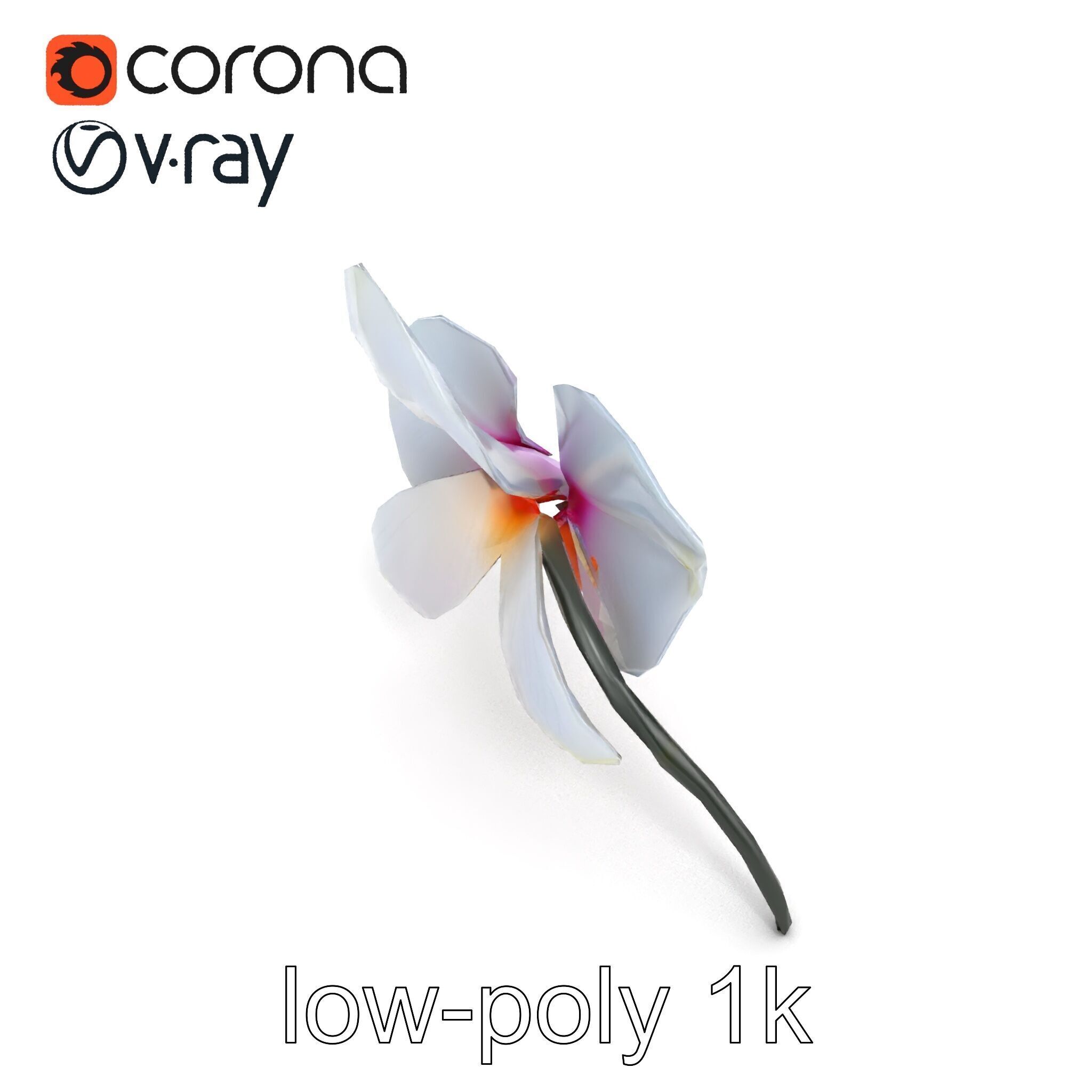 Phalaenopsis Orchid Floral Arrangement model pack Low-poly 3D model_20