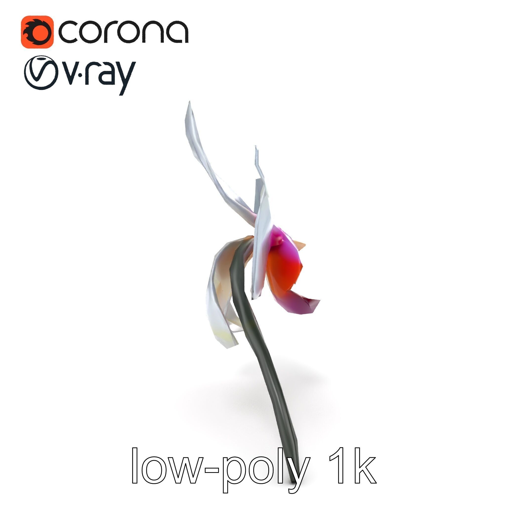 Phalaenopsis Orchid Floral Arrangement model pack Low-poly 3D model_15