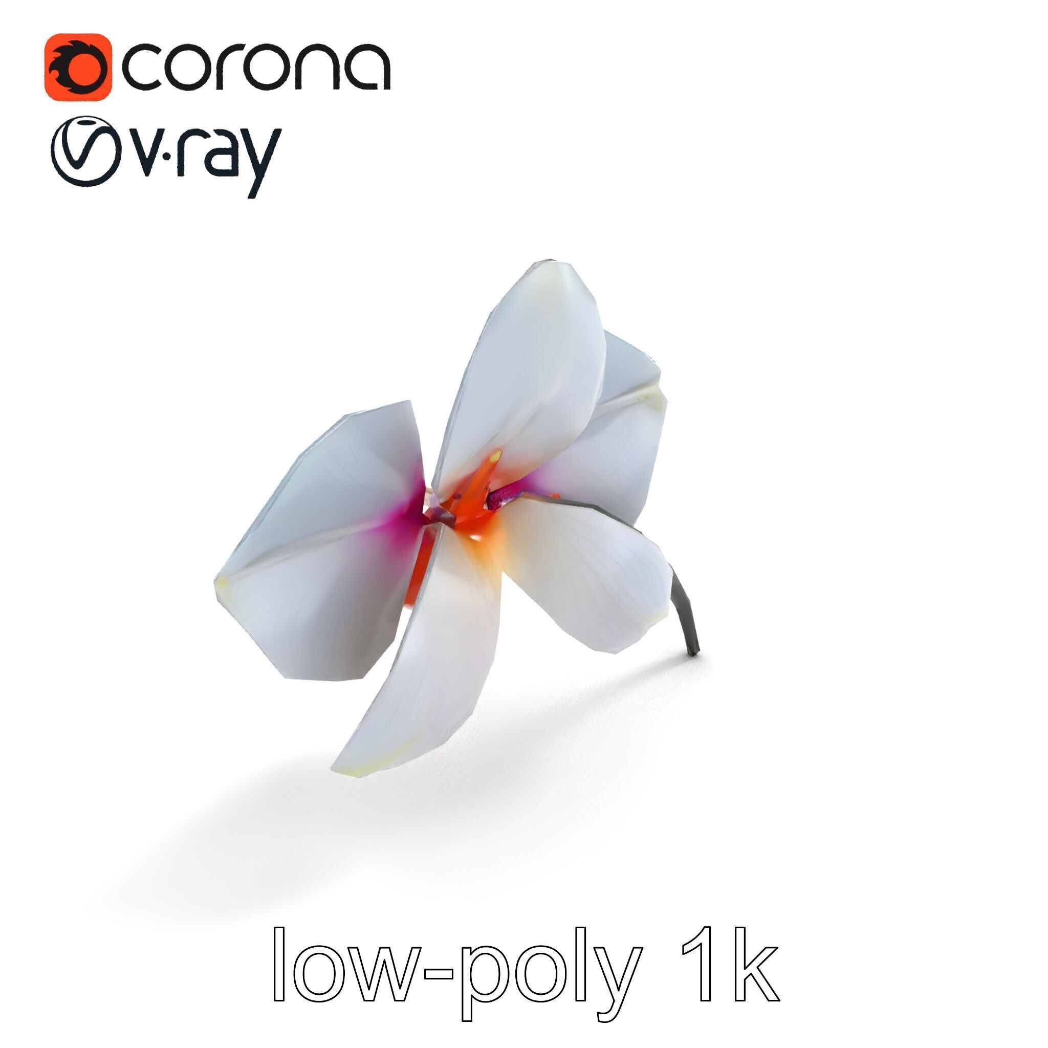 Phalaenopsis Orchid Floral Arrangement model pack Low-poly 3D model_9