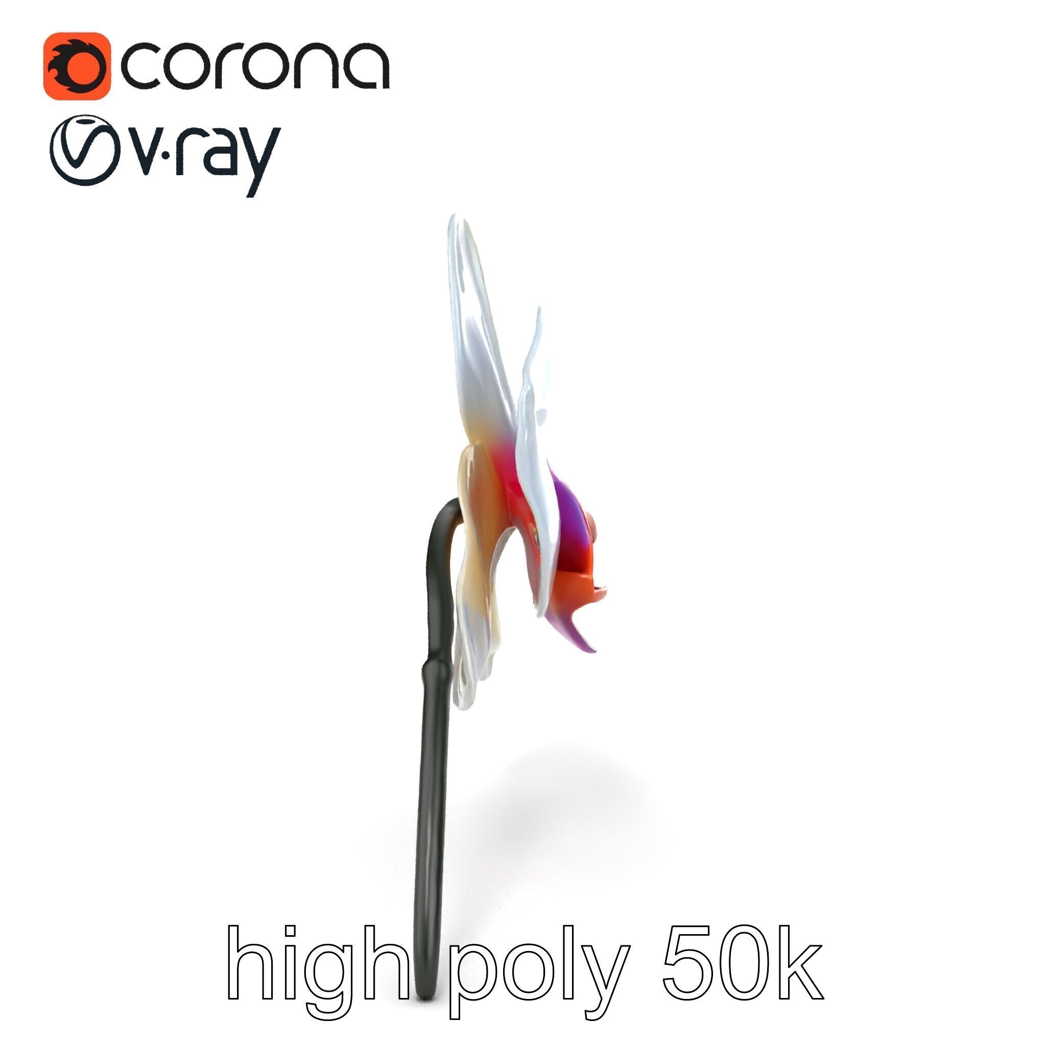 Phalaenopsis Orchid Floral Arrangement model pack Low-poly 3D model_18