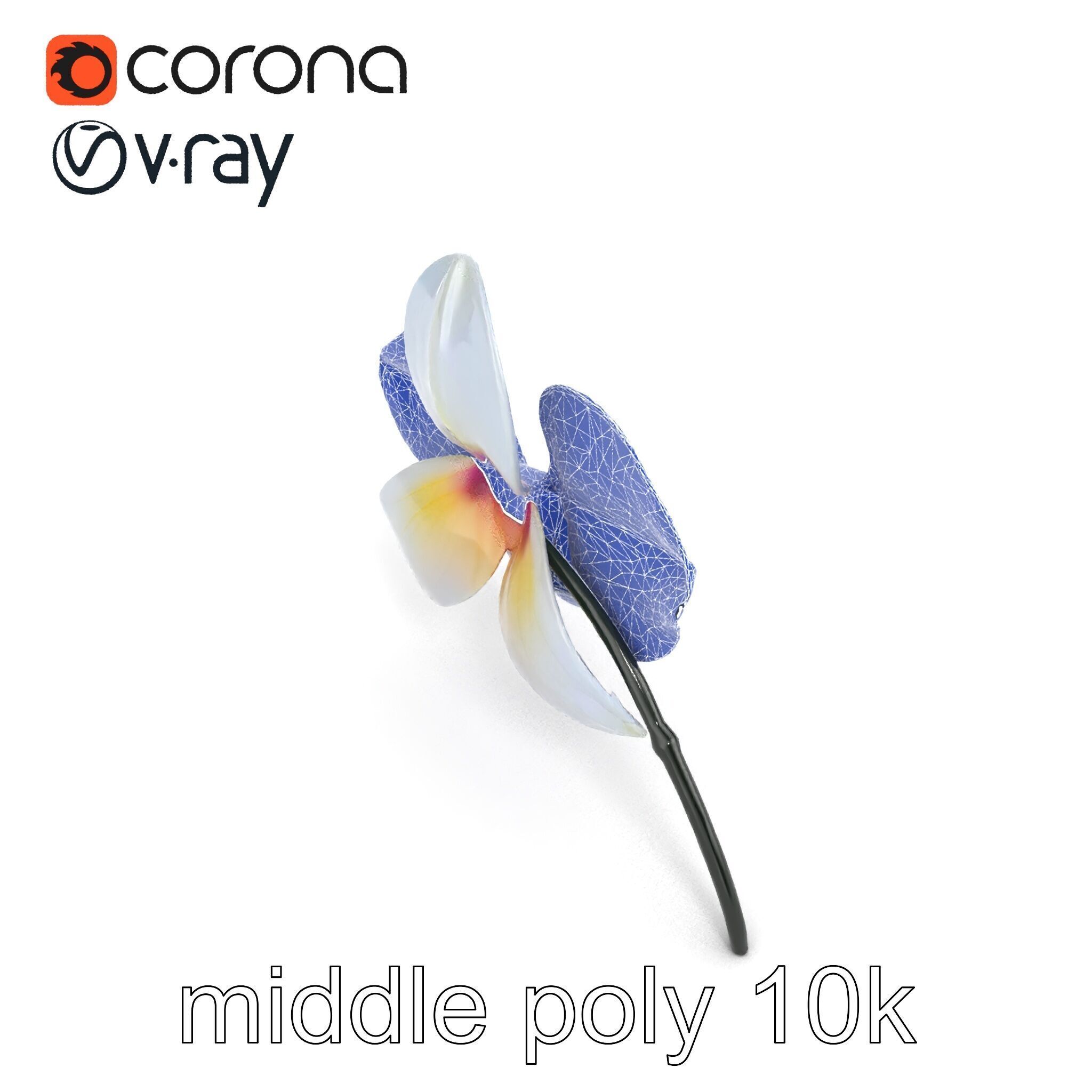 Phalaenopsis Orchid Floral Arrangement model pack Low-poly 3D model_11