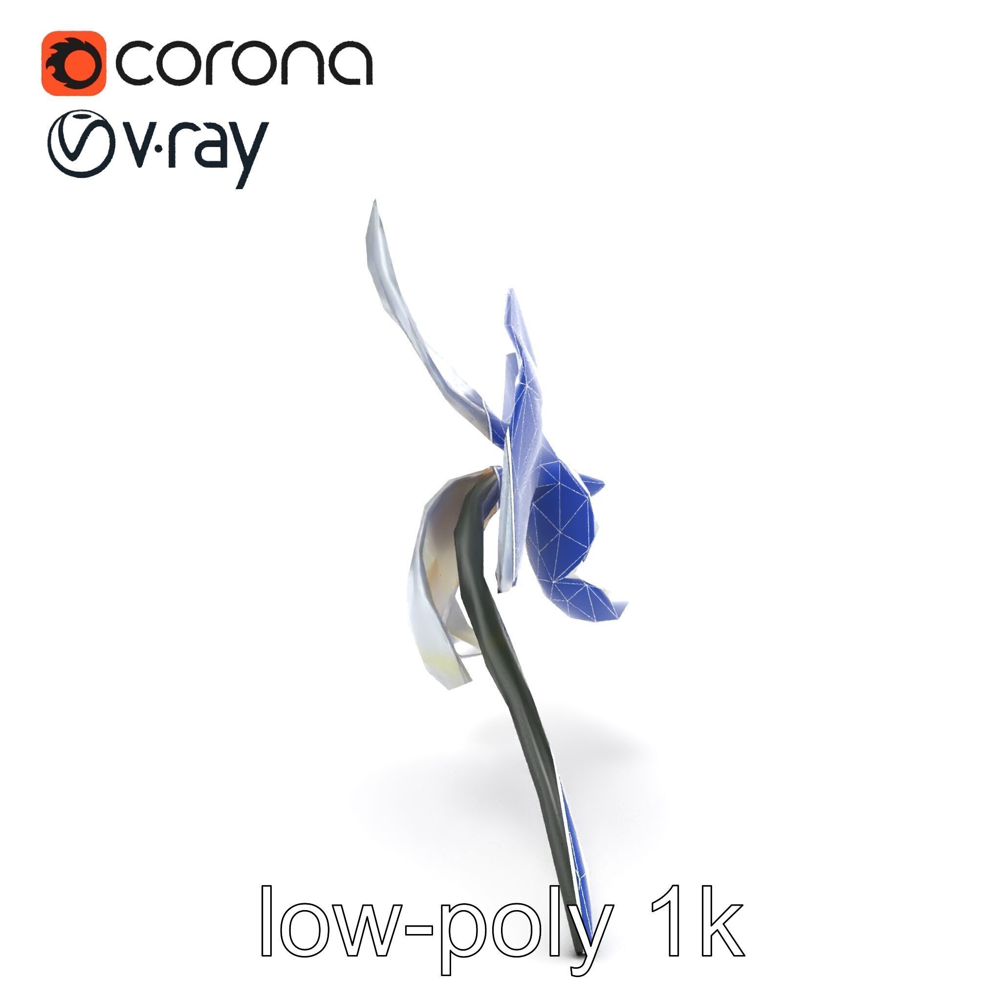 Phalaenopsis Orchid Floral Arrangement model pack Low-poly 3D model_13