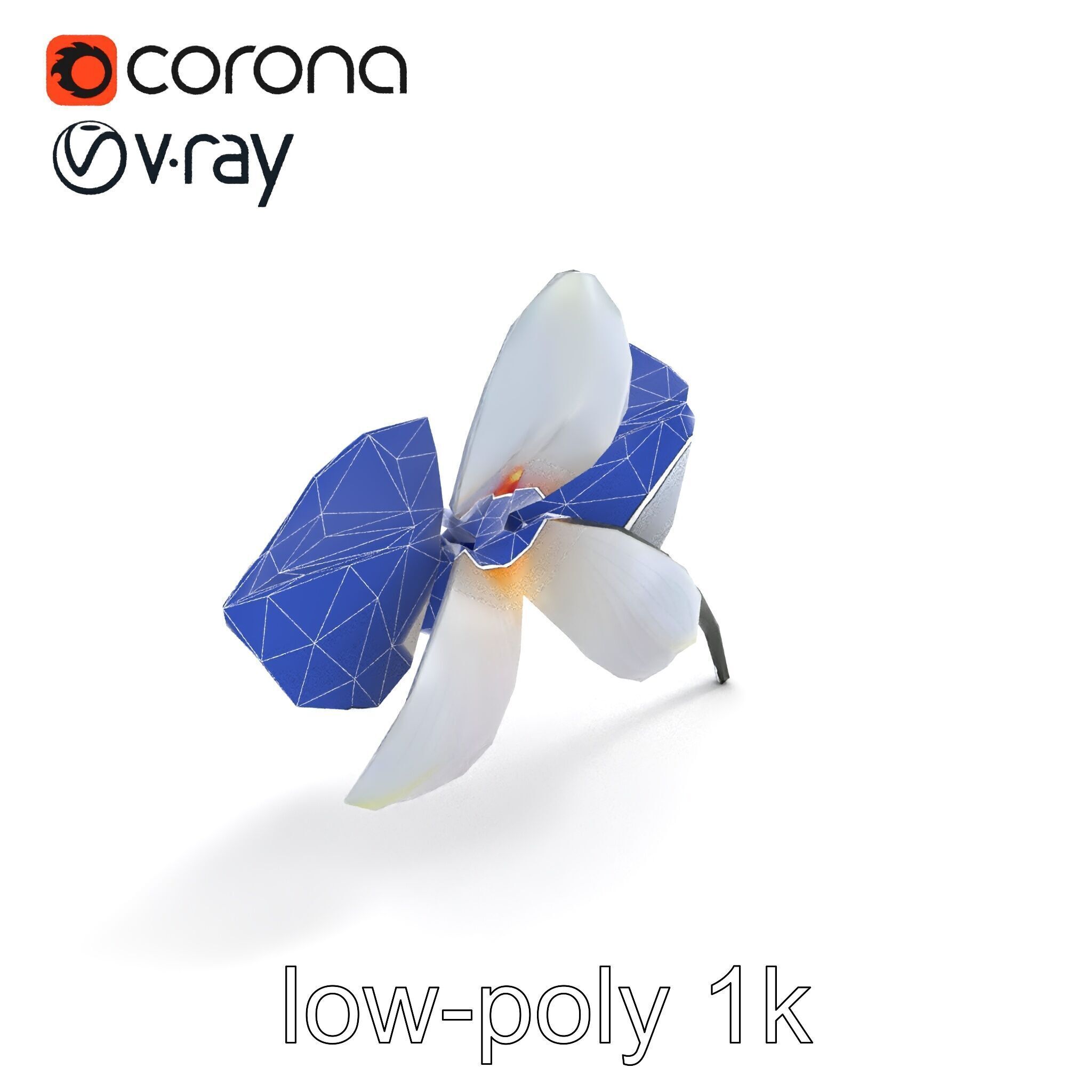 Phalaenopsis Orchid Floral Arrangement model pack Low-poly 3D model_32