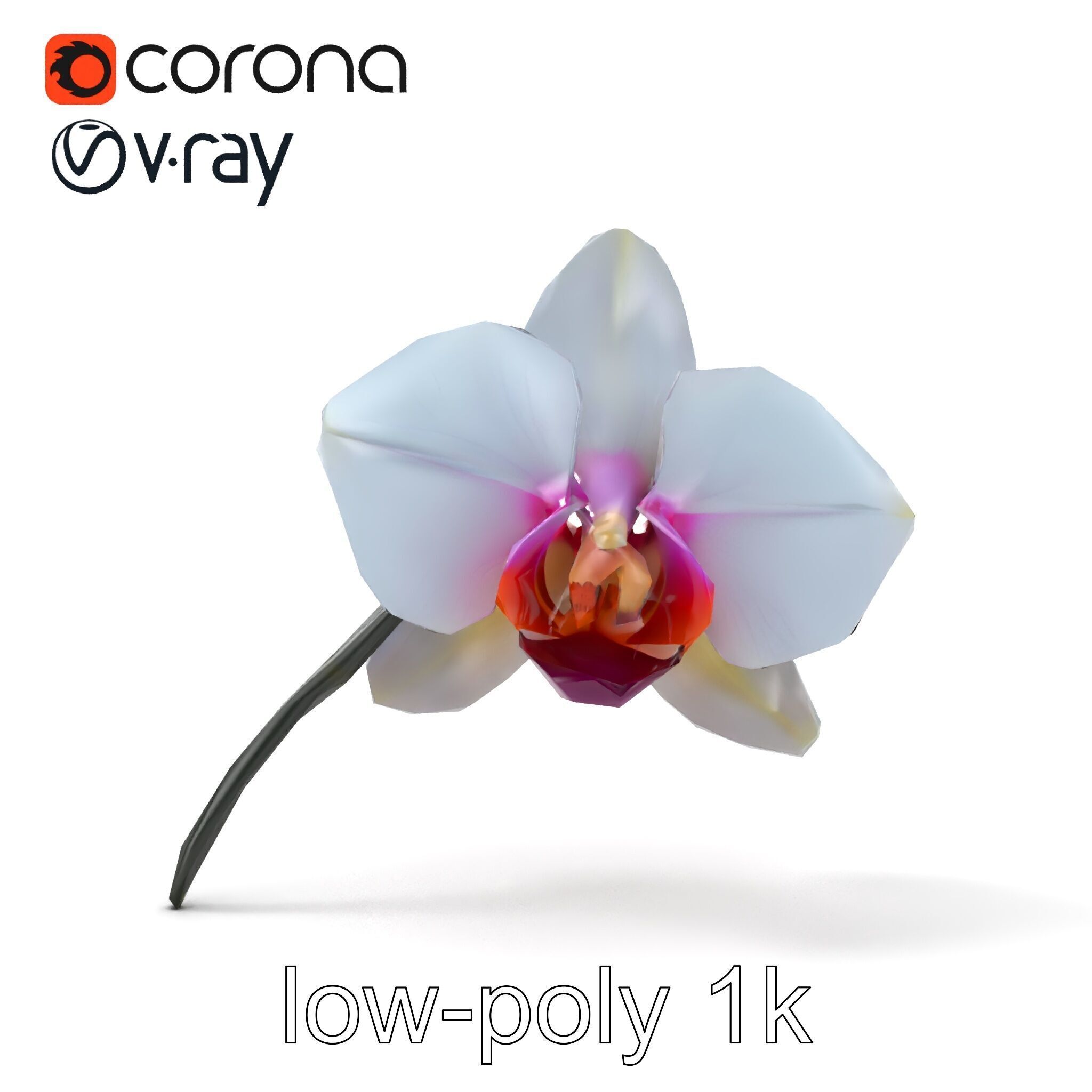 Phalaenopsis Orchid Floral Arrangement model pack Low-poly 3D model_27