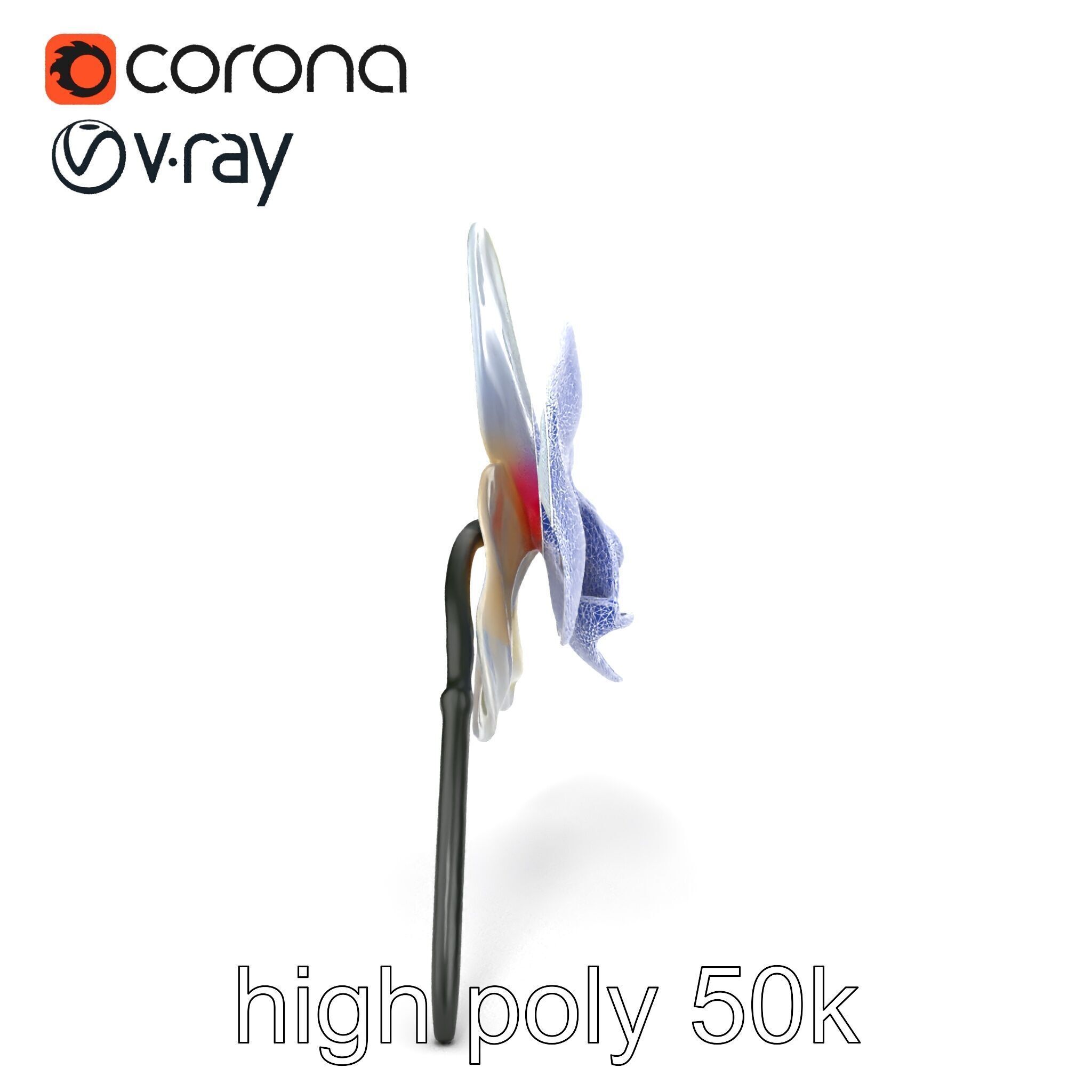 Phalaenopsis Orchid Floral Arrangement model pack Low-poly 3D model_29