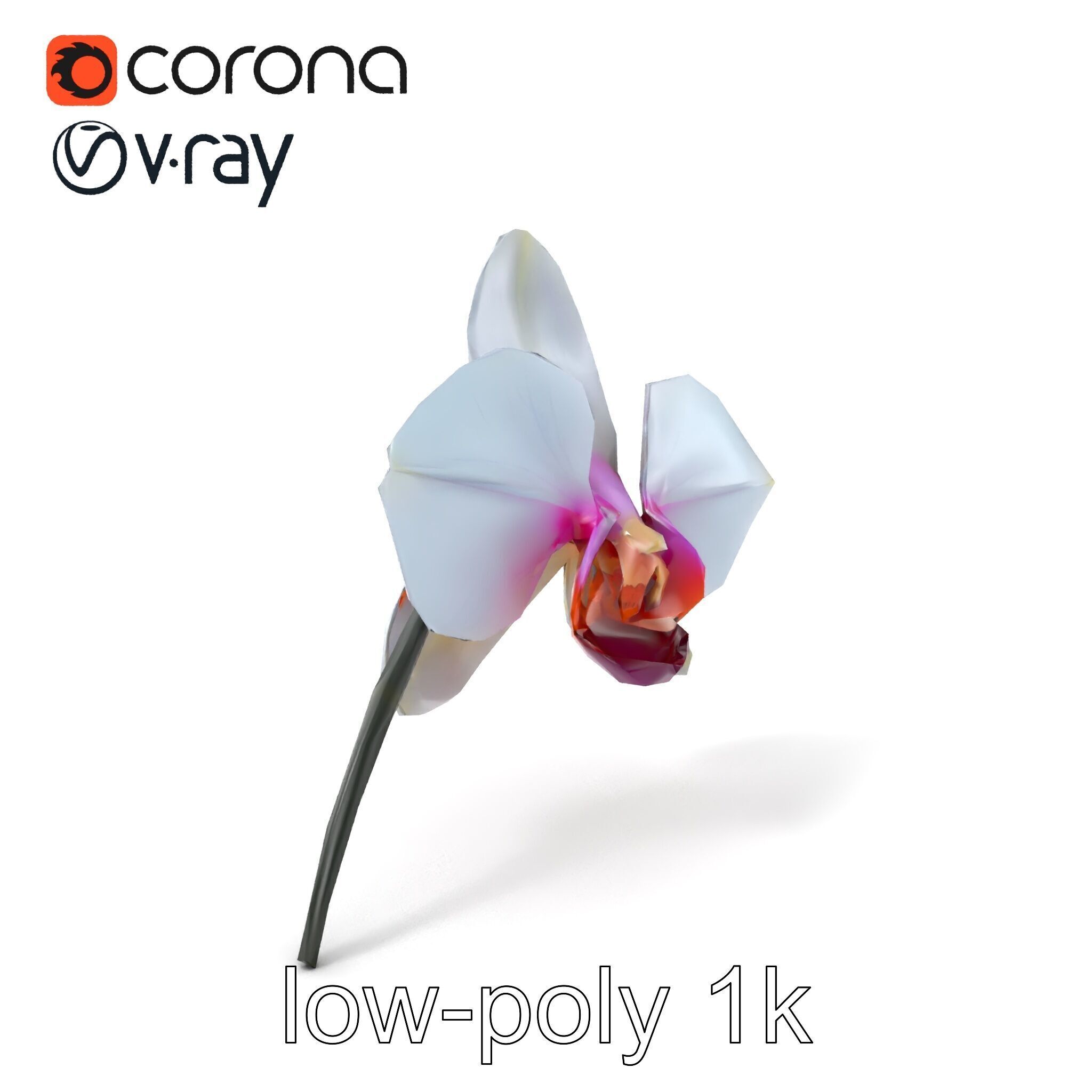 Phalaenopsis Orchid Floral Arrangement model pack Low-poly 3D model_5