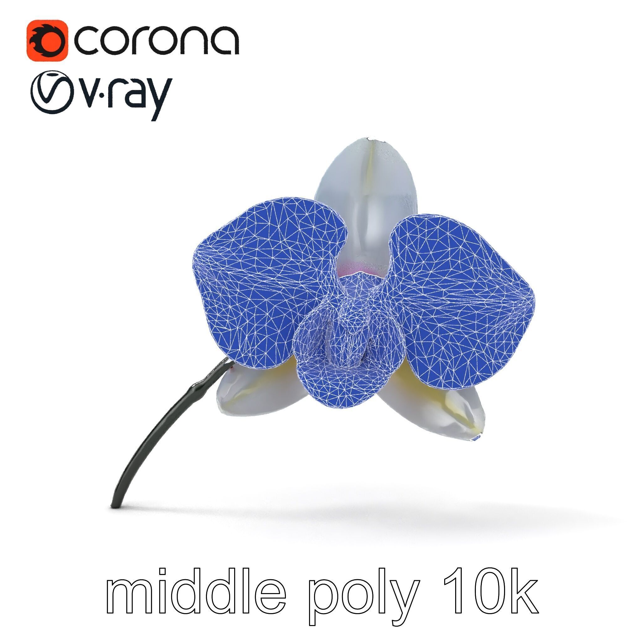 Phalaenopsis Orchid Floral Arrangement model pack Low-poly 3D model_23