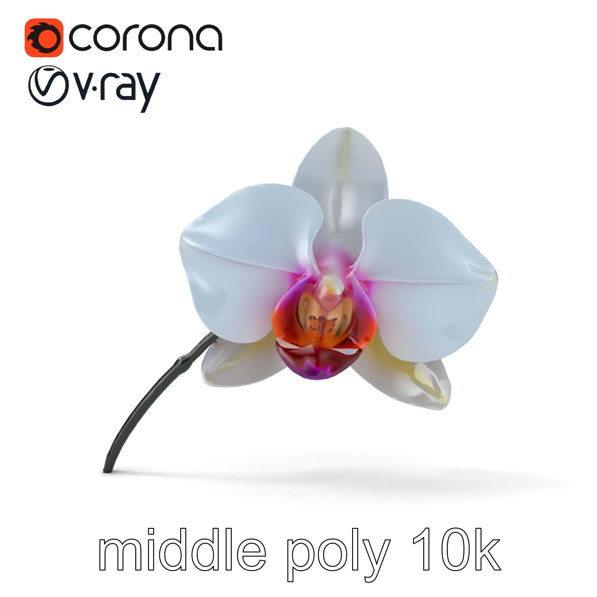 Phalaenopsis Orchid Floral Arrangement model pack Low-poly 3D model_25