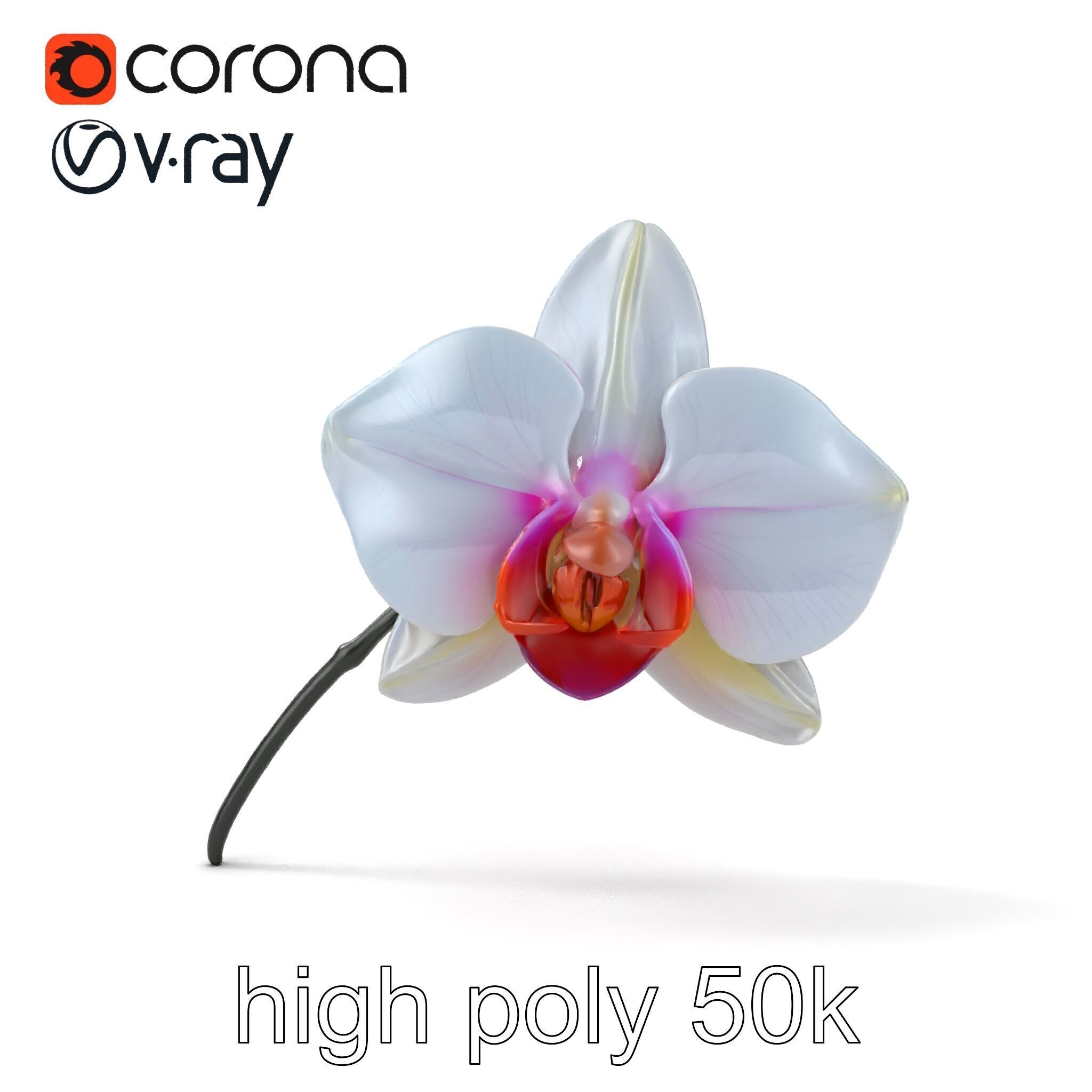 Phalaenopsis Orchid Floral Arrangement model pack Low-poly 3D model_17