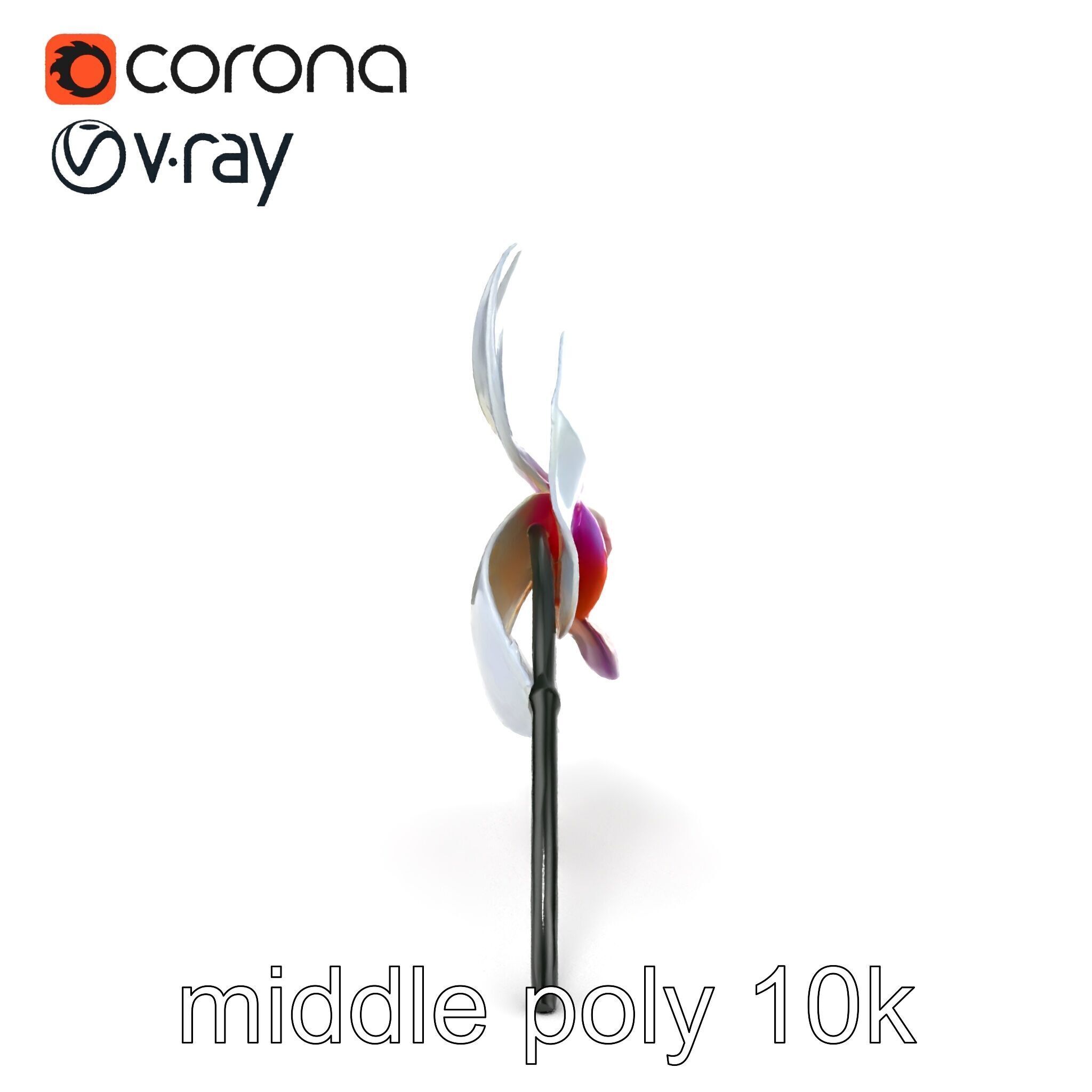 Phalaenopsis Orchid Floral Arrangement model pack Low-poly 3D model_21