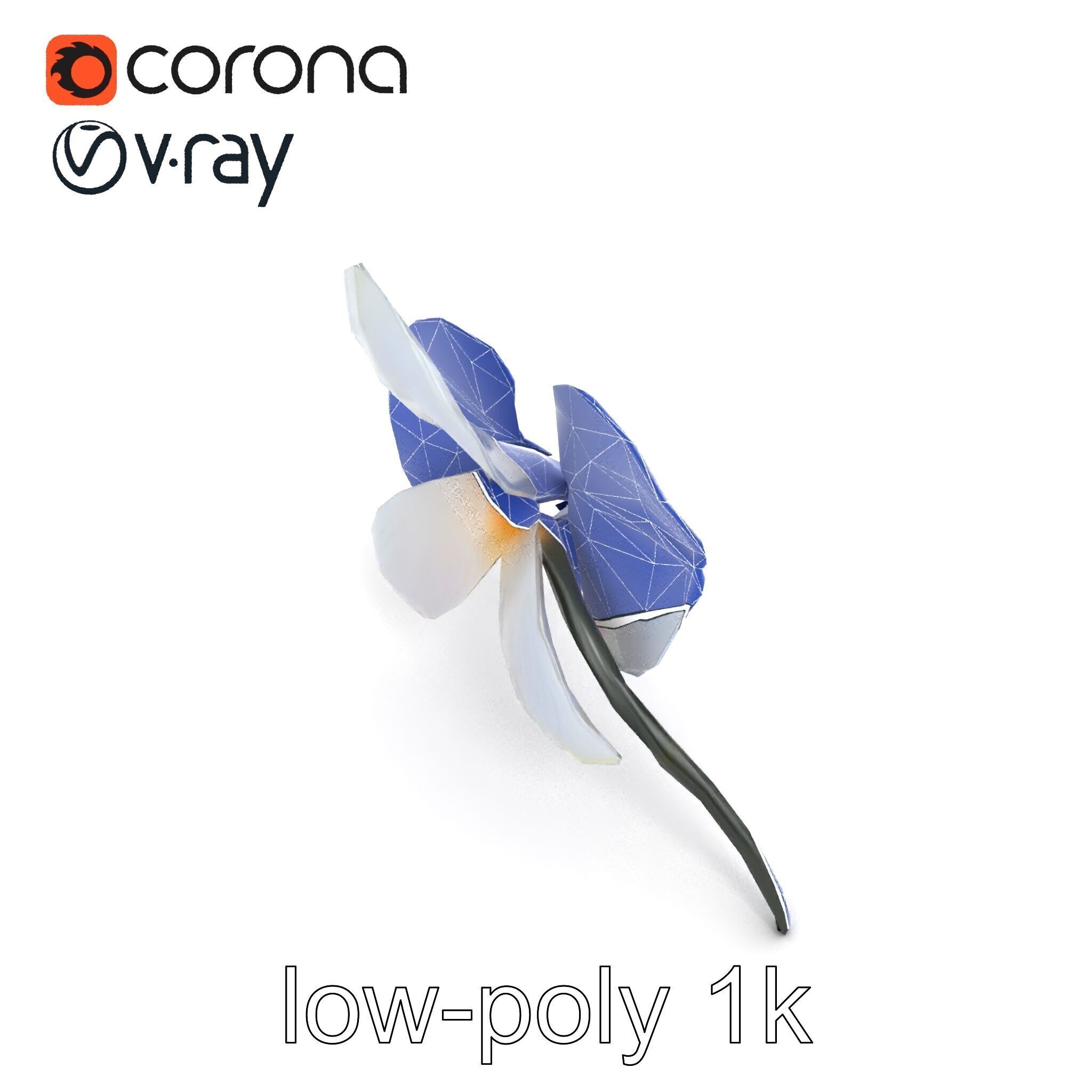 Phalaenopsis Orchid Floral Arrangement model pack Low-poly 3D model_26