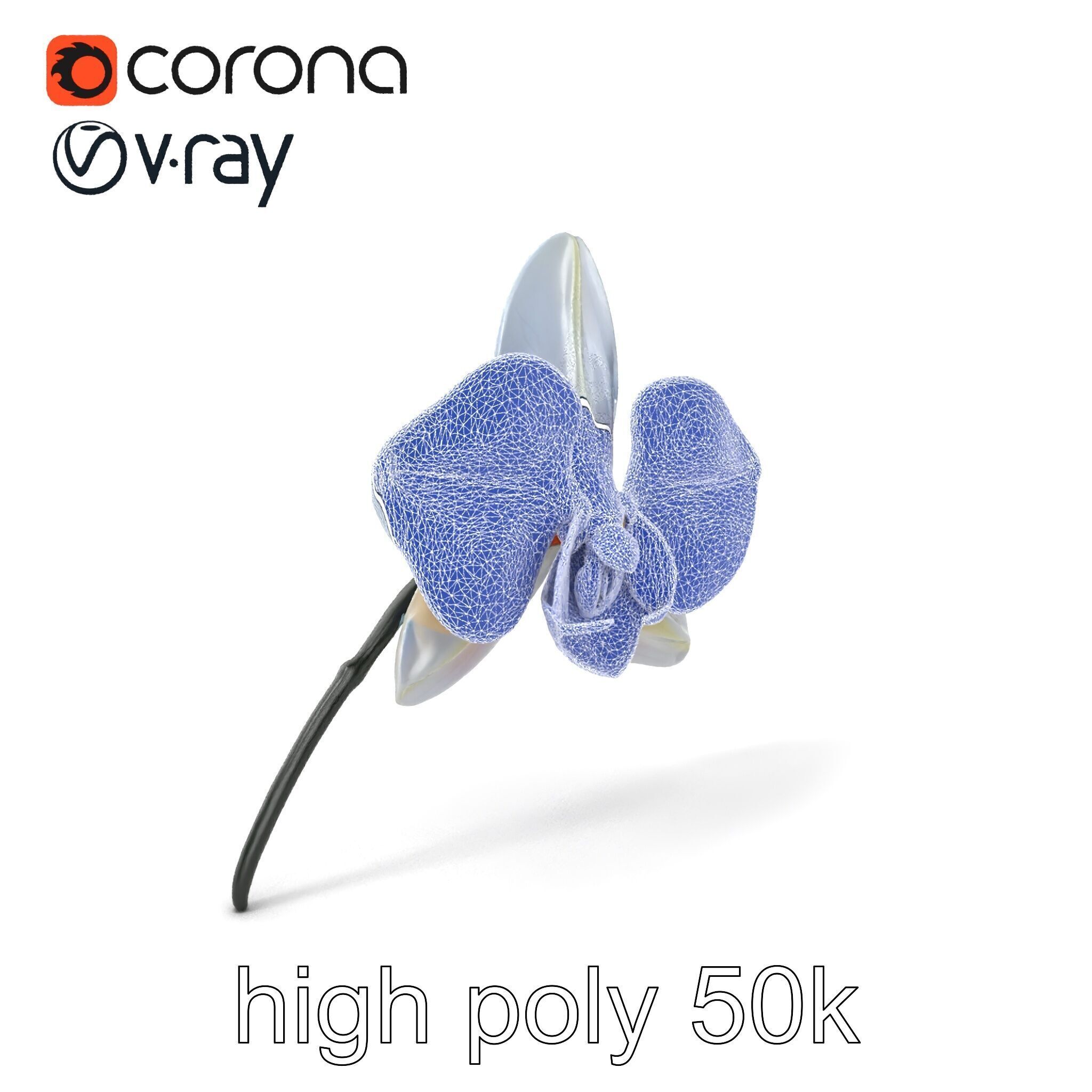 Phalaenopsis Orchid Floral Arrangement model pack Low-poly 3D model_10