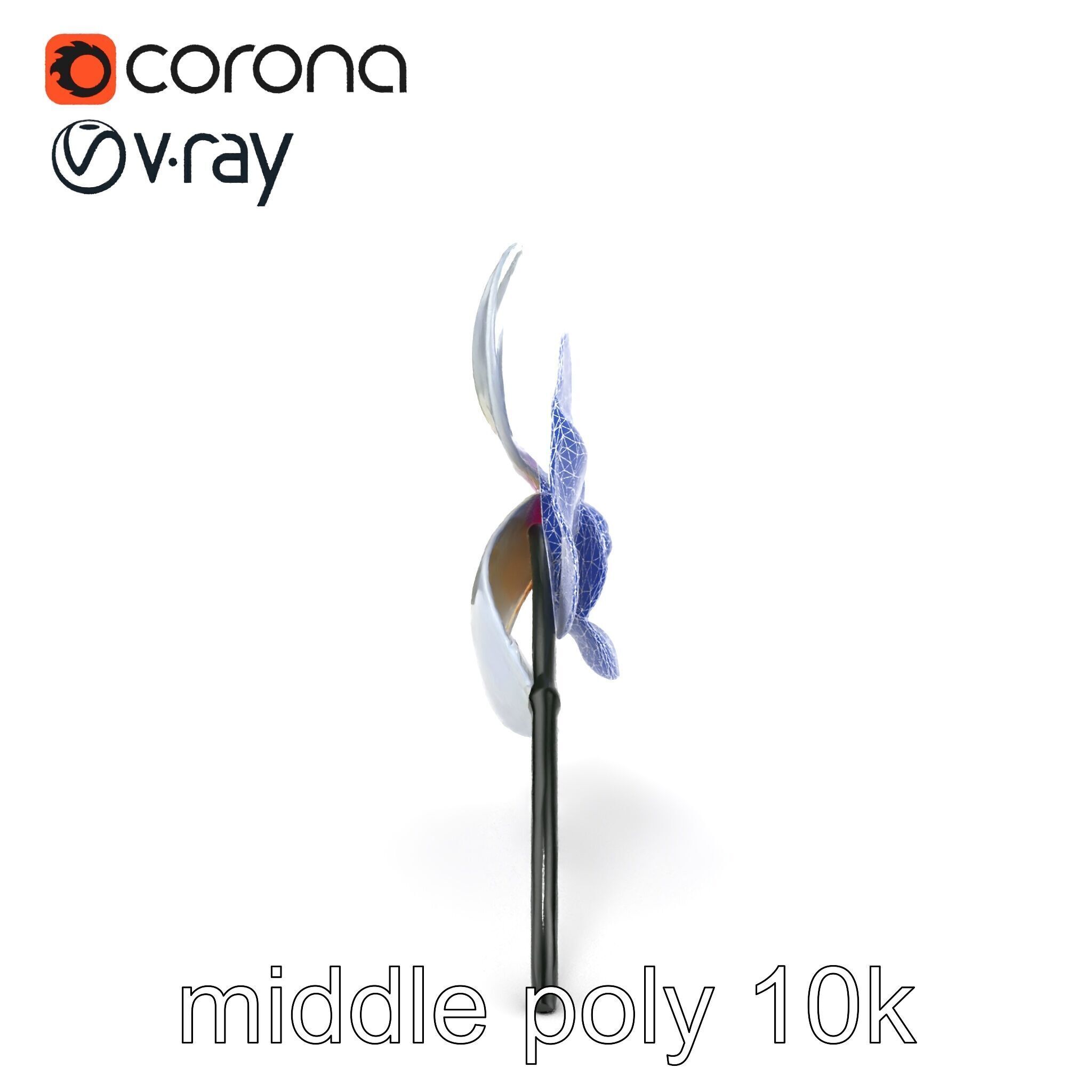 Phalaenopsis Orchid Floral Arrangement model pack Low-poly 3D model_19