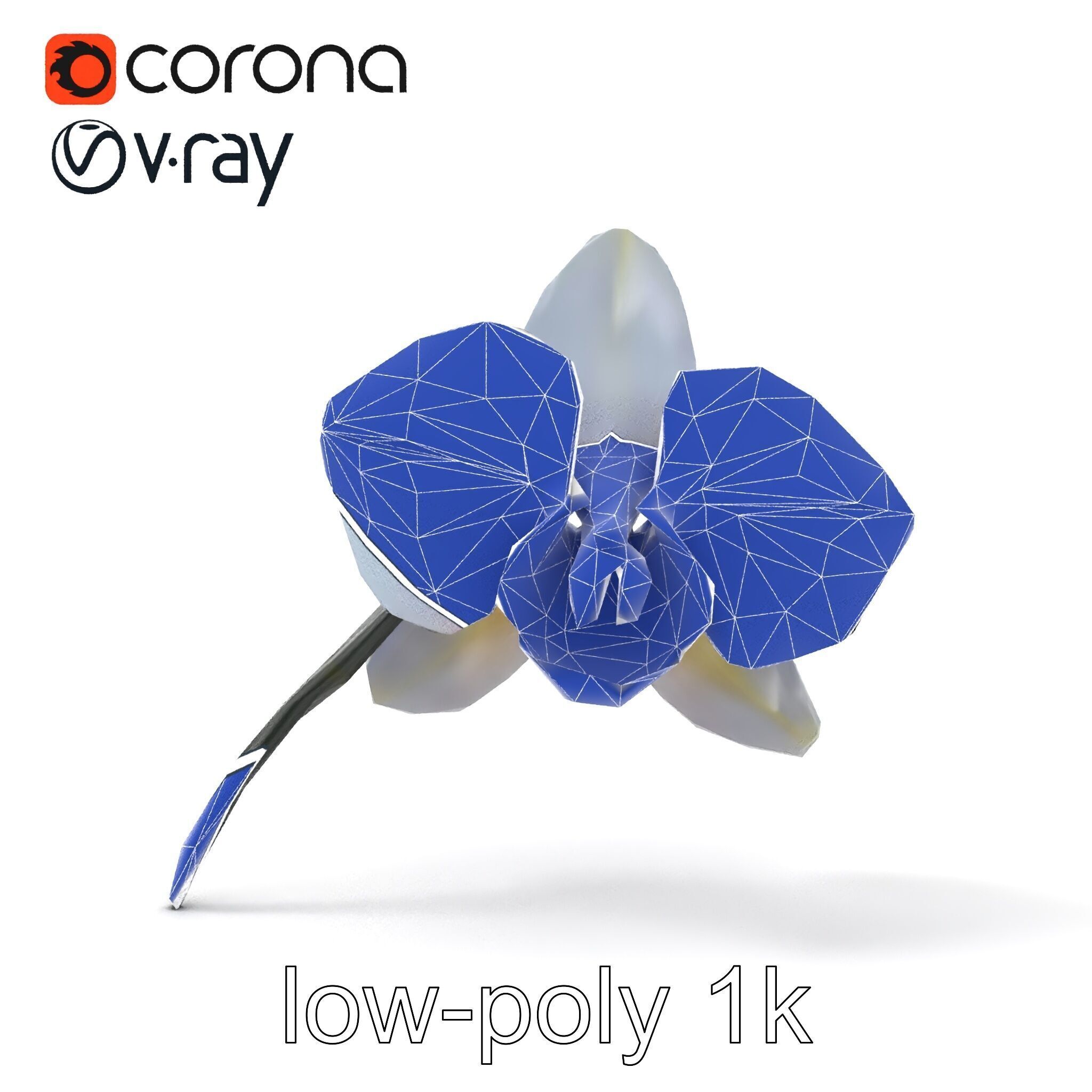 Phalaenopsis Orchid Floral Arrangement model pack Low-poly 3D model_22