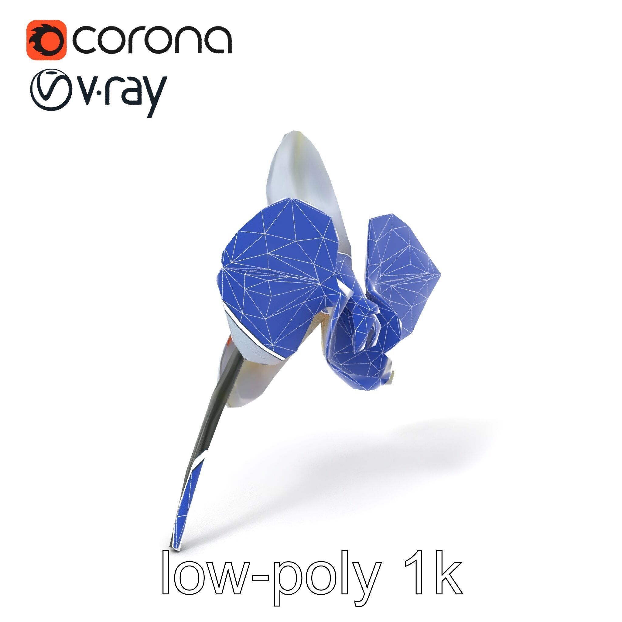 Phalaenopsis Orchid Floral Arrangement model pack Low-poly 3D model_7