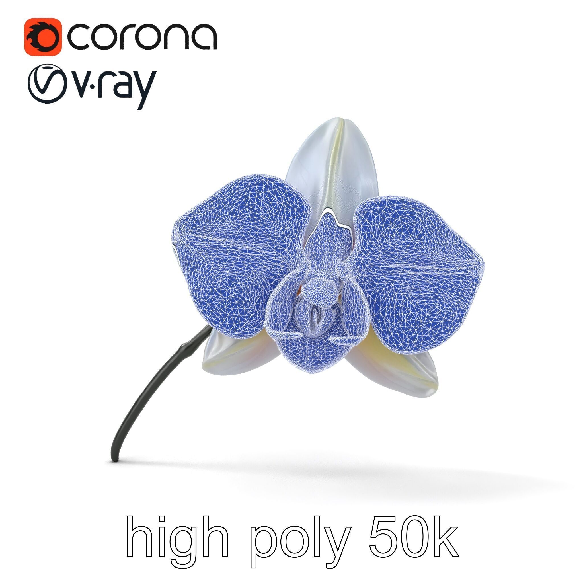 Phalaenopsis Orchid Floral Arrangement model pack Low-poly 3D model_31