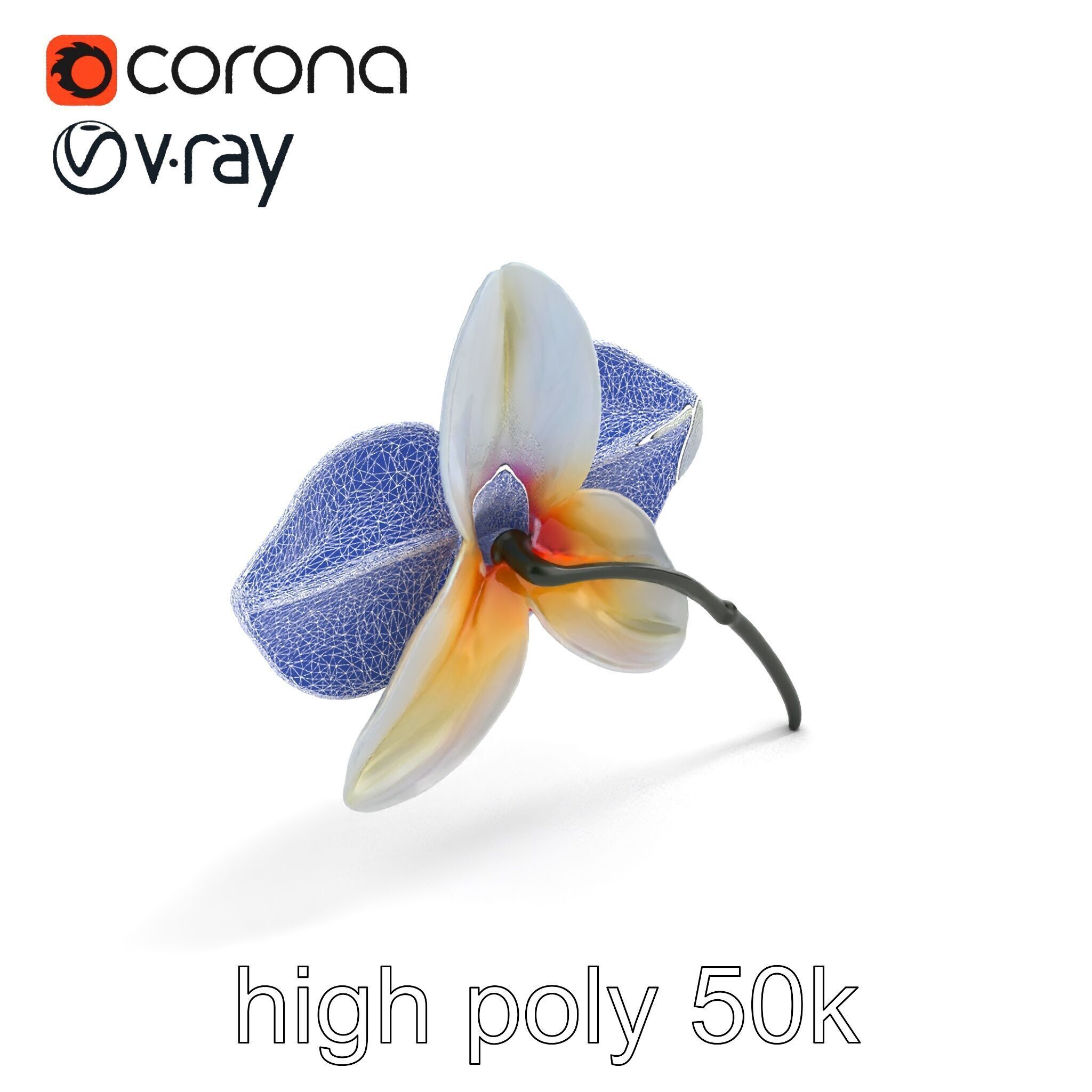 Phalaenopsis Orchid Floral Arrangement model pack Low-poly 3D model_28