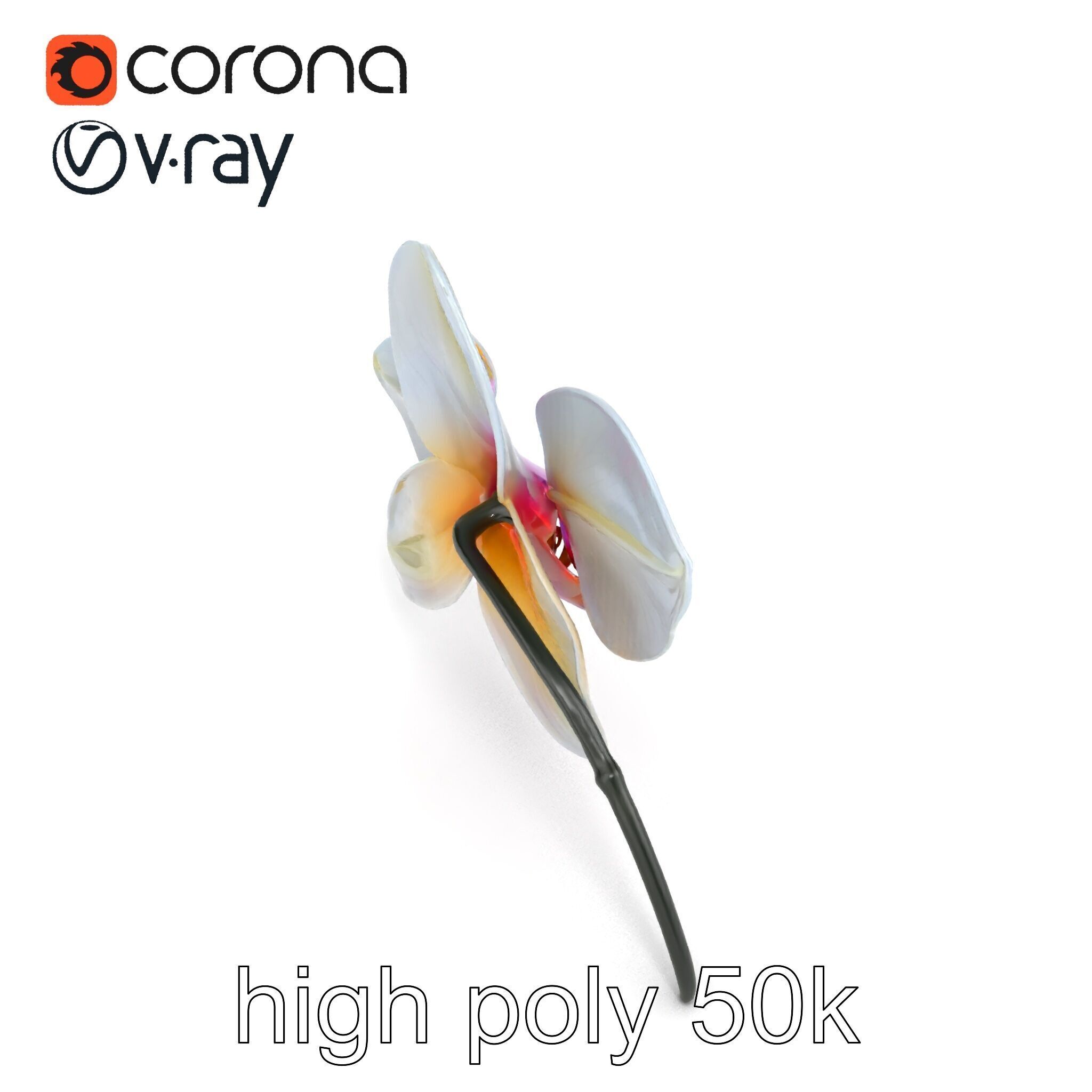 Phalaenopsis Orchid Floral Arrangement model pack Low-poly 3D model_16