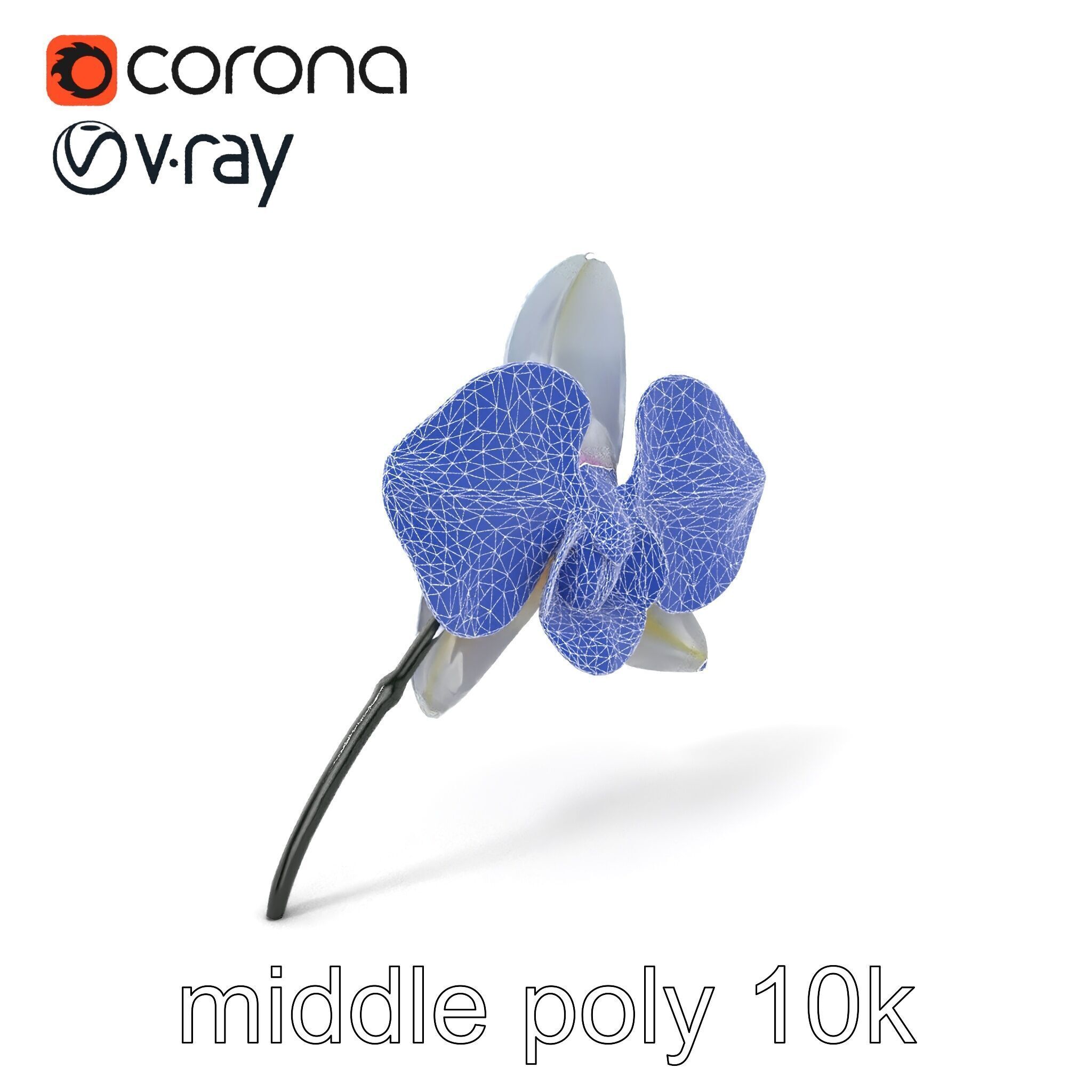 Phalaenopsis Orchid Floral Arrangement model pack Low-poly 3D model_6