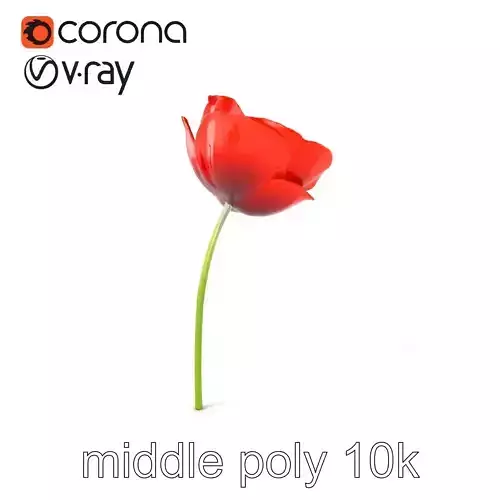 Red Poppy Floral Elegance model pack