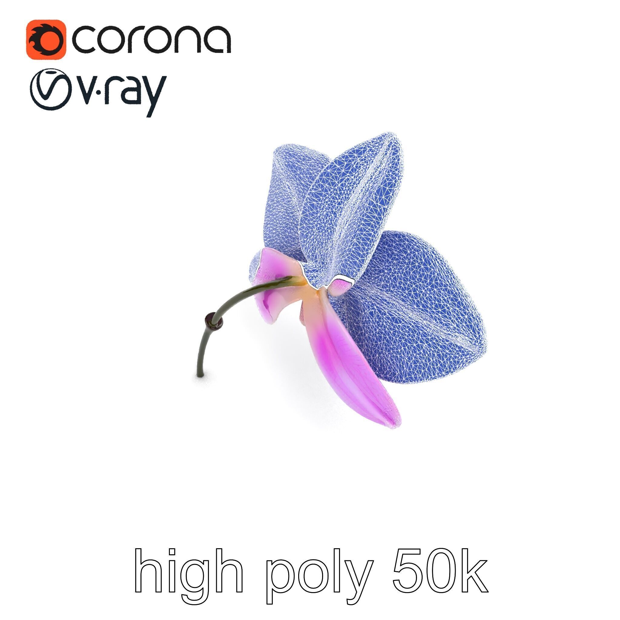 Dendrobium Orchid Bright Petals Model Pack Low-poly 3D model_19