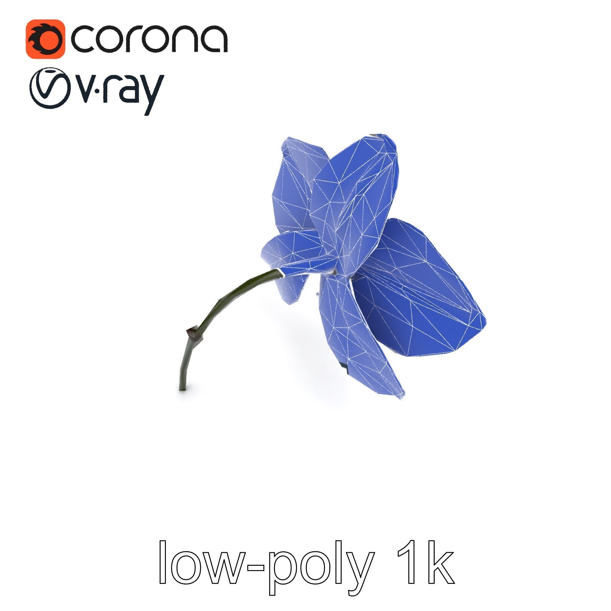 Dendrobium Orchid Bright Petals Model Pack Low-poly 3D model_25