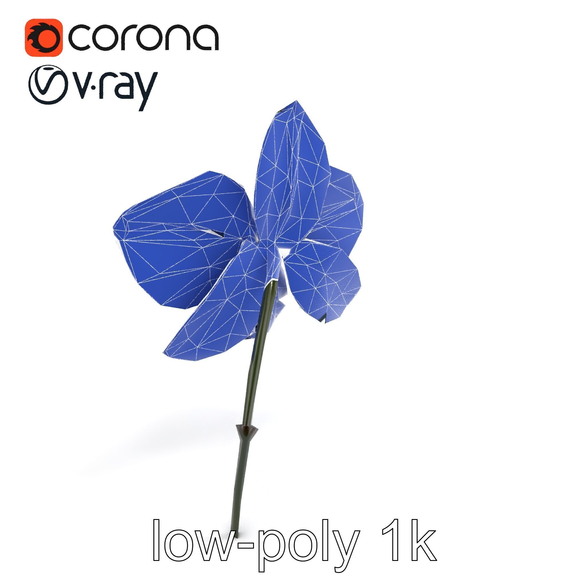 Dendrobium Orchid Bright Petals Model Pack Low-poly 3D model_14