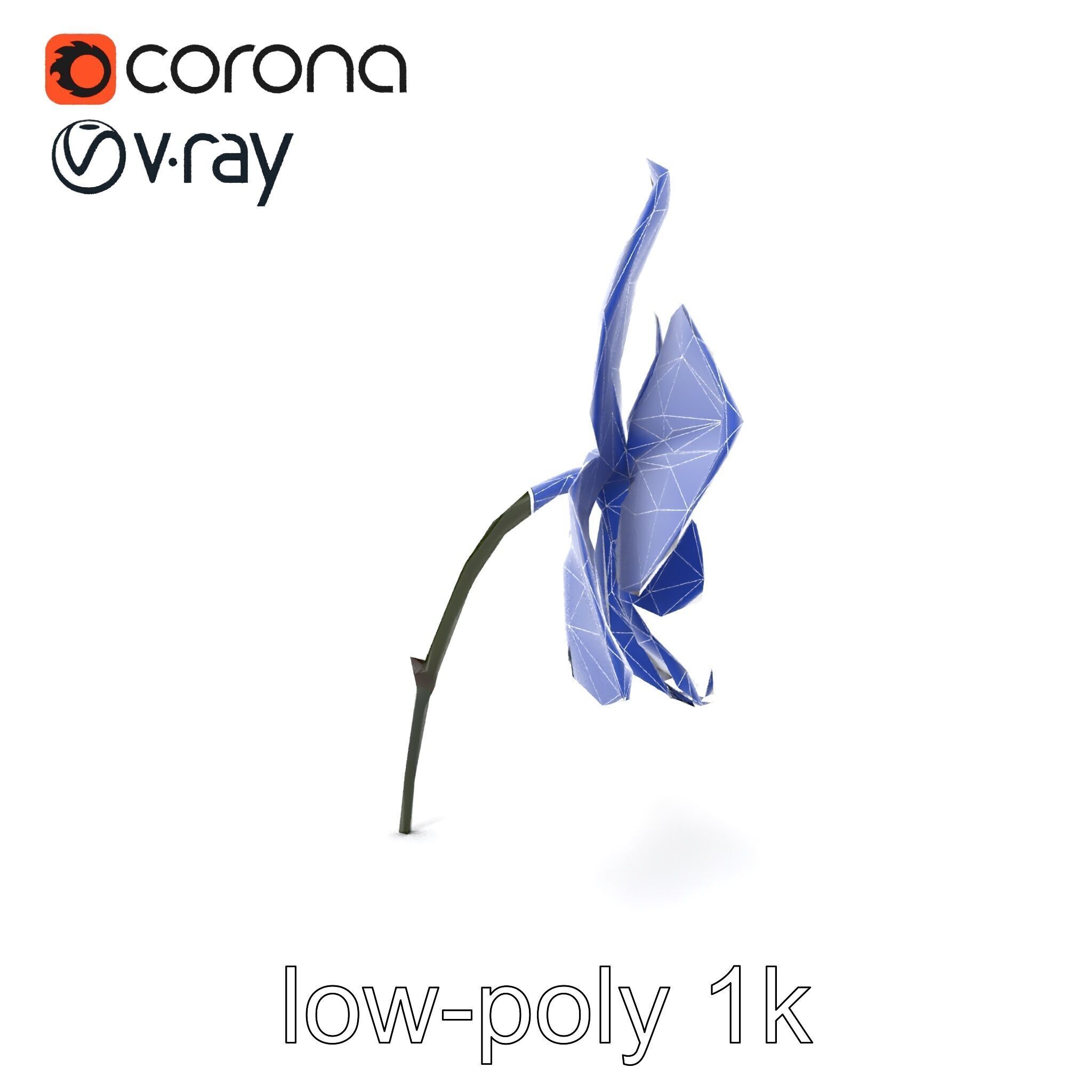 Dendrobium Orchid Bright Petals Model Pack Low-poly 3D model_26