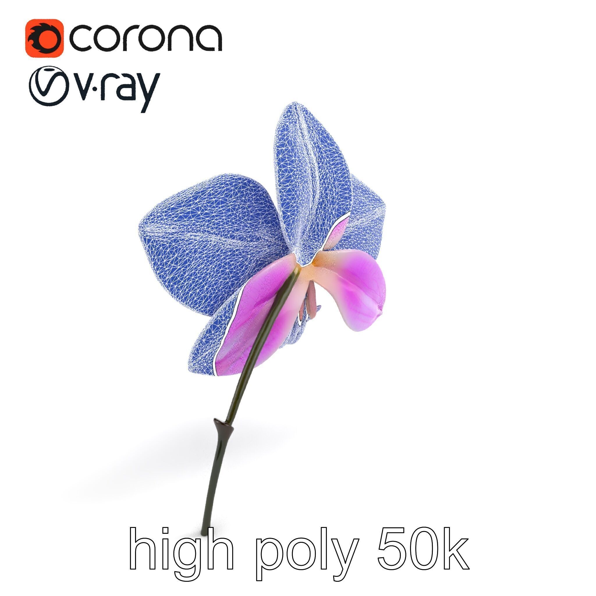 Dendrobium Orchid Bright Petals Model Pack Low-poly 3D model_23