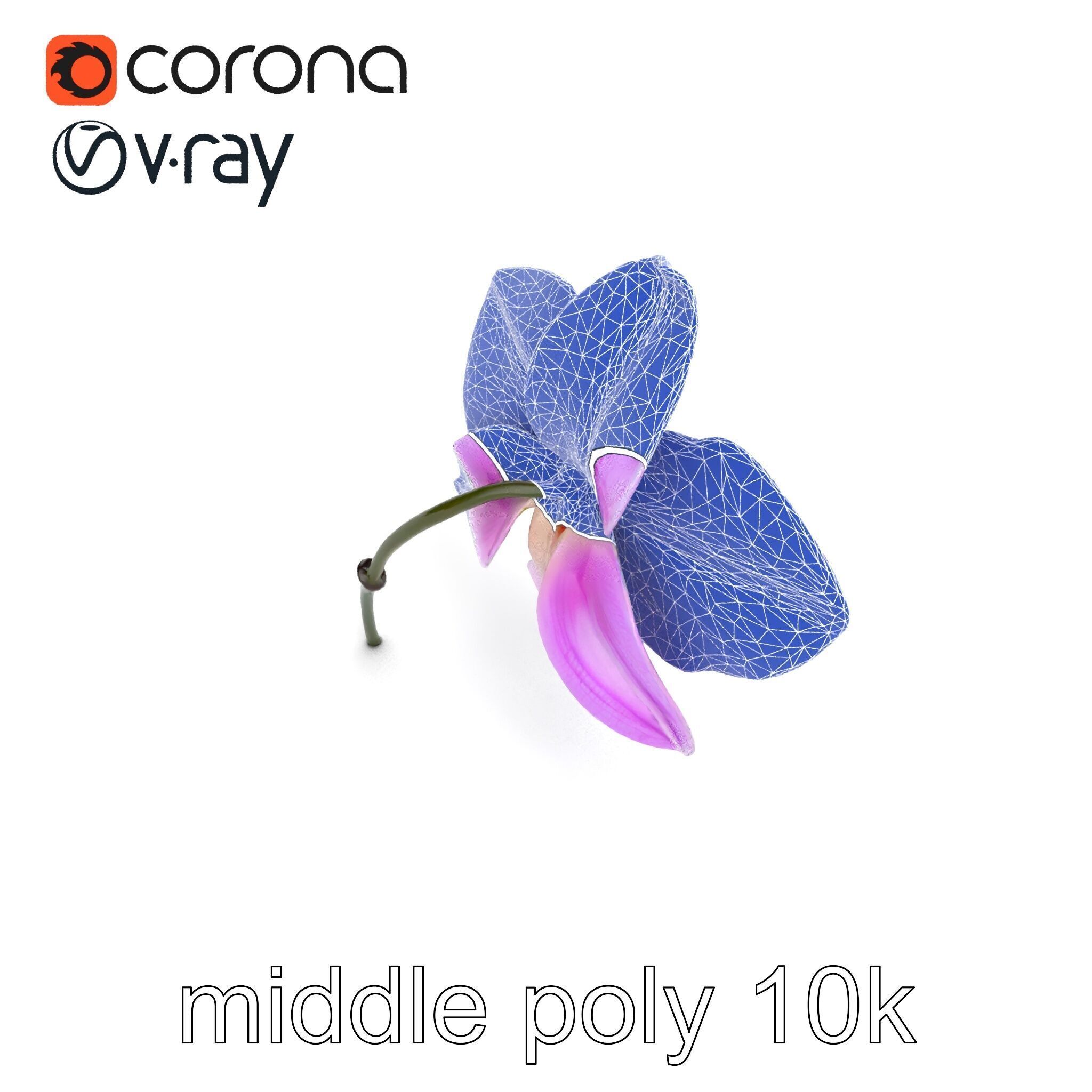 Dendrobium Orchid Bright Petals Model Pack Low-poly 3D model_21