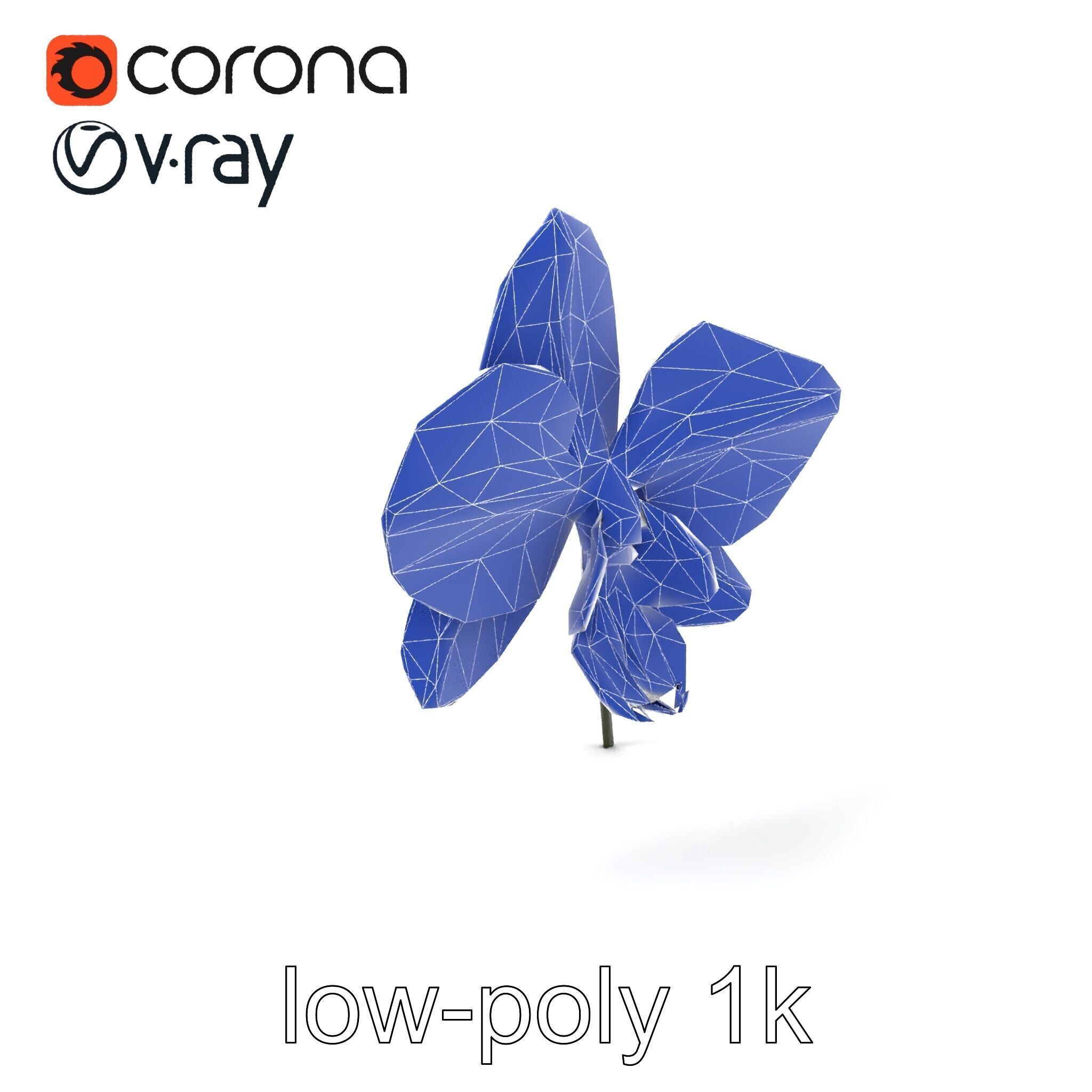 Dendrobium Orchid Bright Petals Model Pack Low-poly 3D model_6