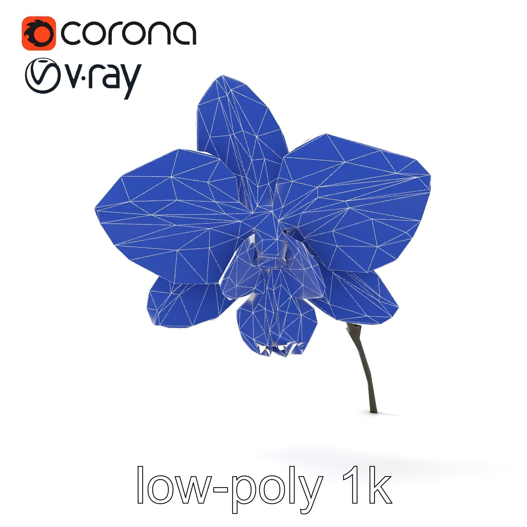 Dendrobium Orchid Bright Petals Model Pack Low-poly 3D model_28