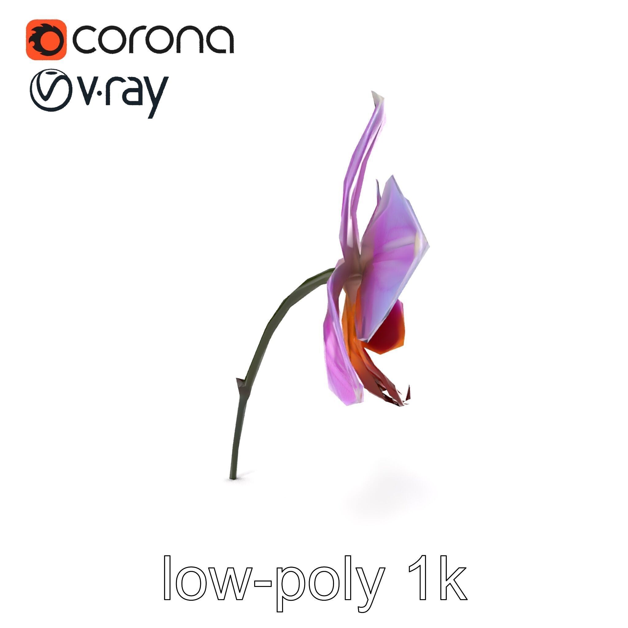 Dendrobium Orchid Bright Petals Model Pack Low-poly 3D model_24