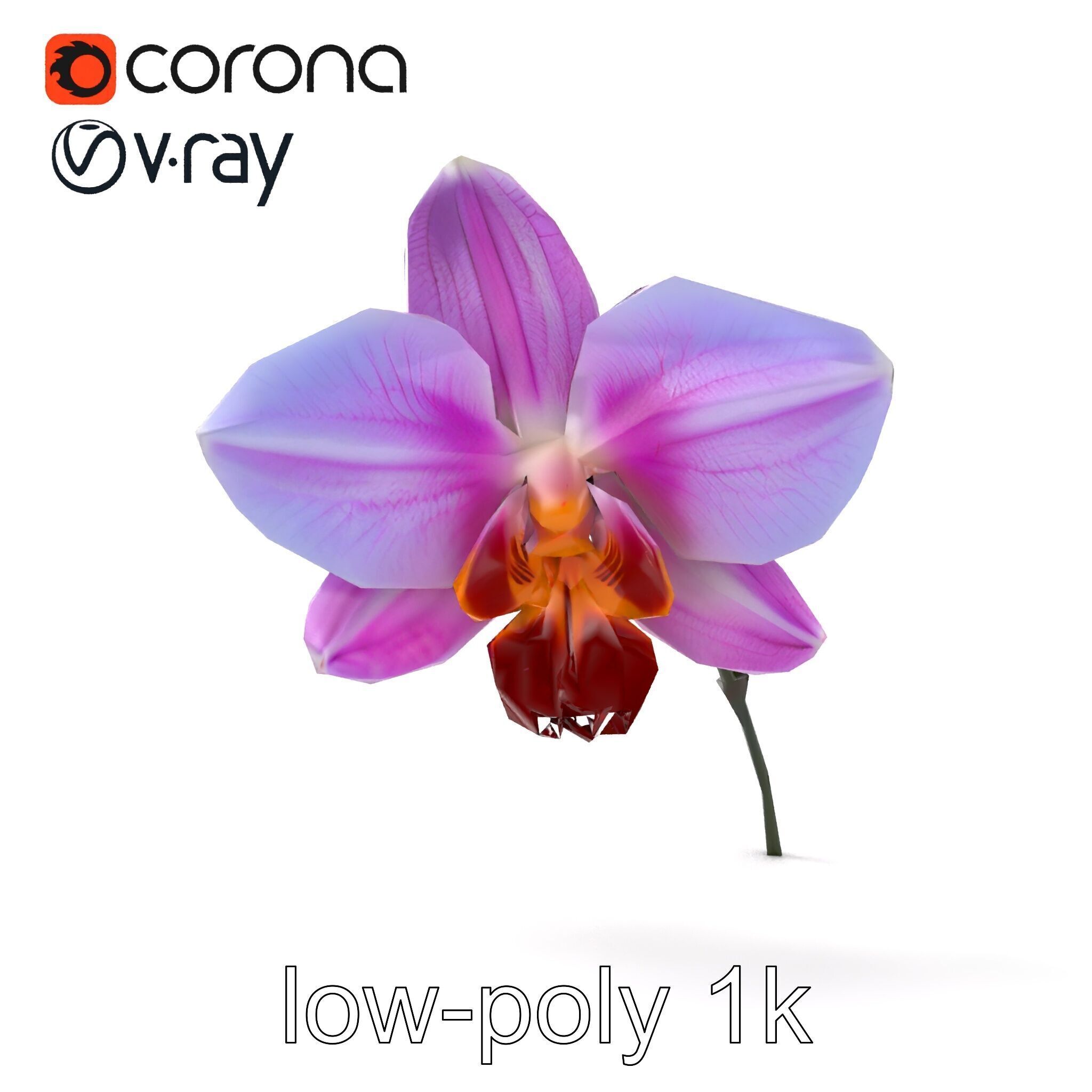 Dendrobium Orchid Bright Petals Model Pack Low-poly 3D model_12