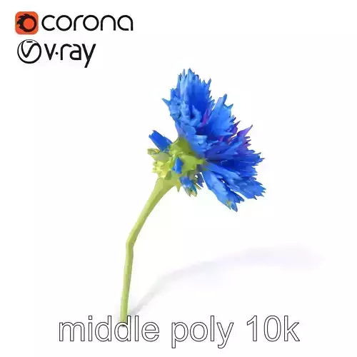 Blue Cornflower Wildflower model pack Low-poly 3D model