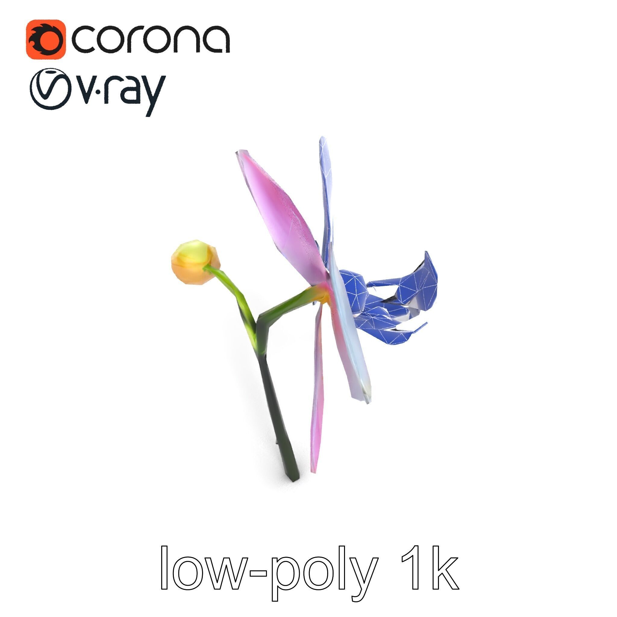 Cymbidium Elegant Petal Orchid 3D Model Pack Low-poly 3D model_17