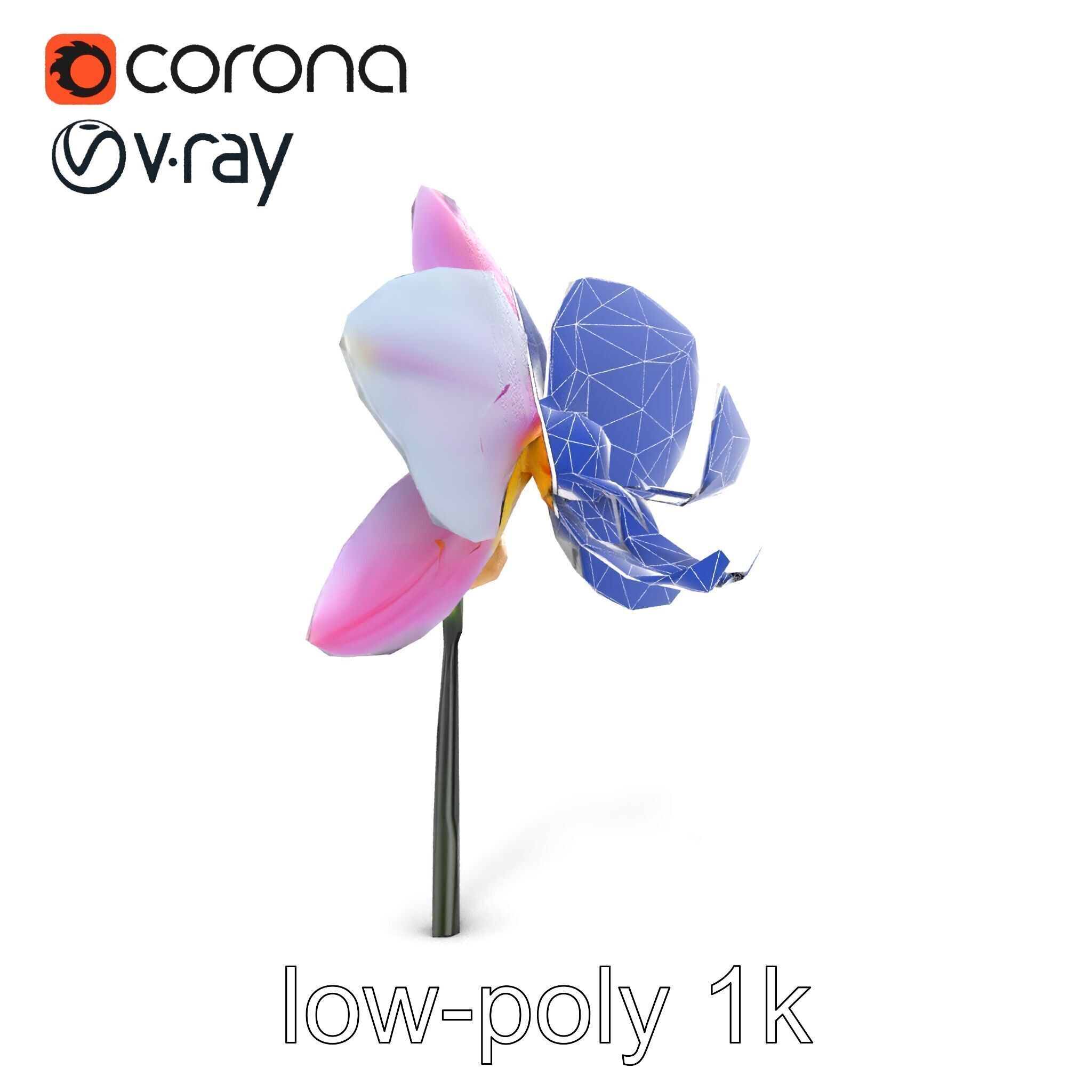 Cymbidium Elegant Petal Orchid 3D Model Pack Low-poly 3D model_16