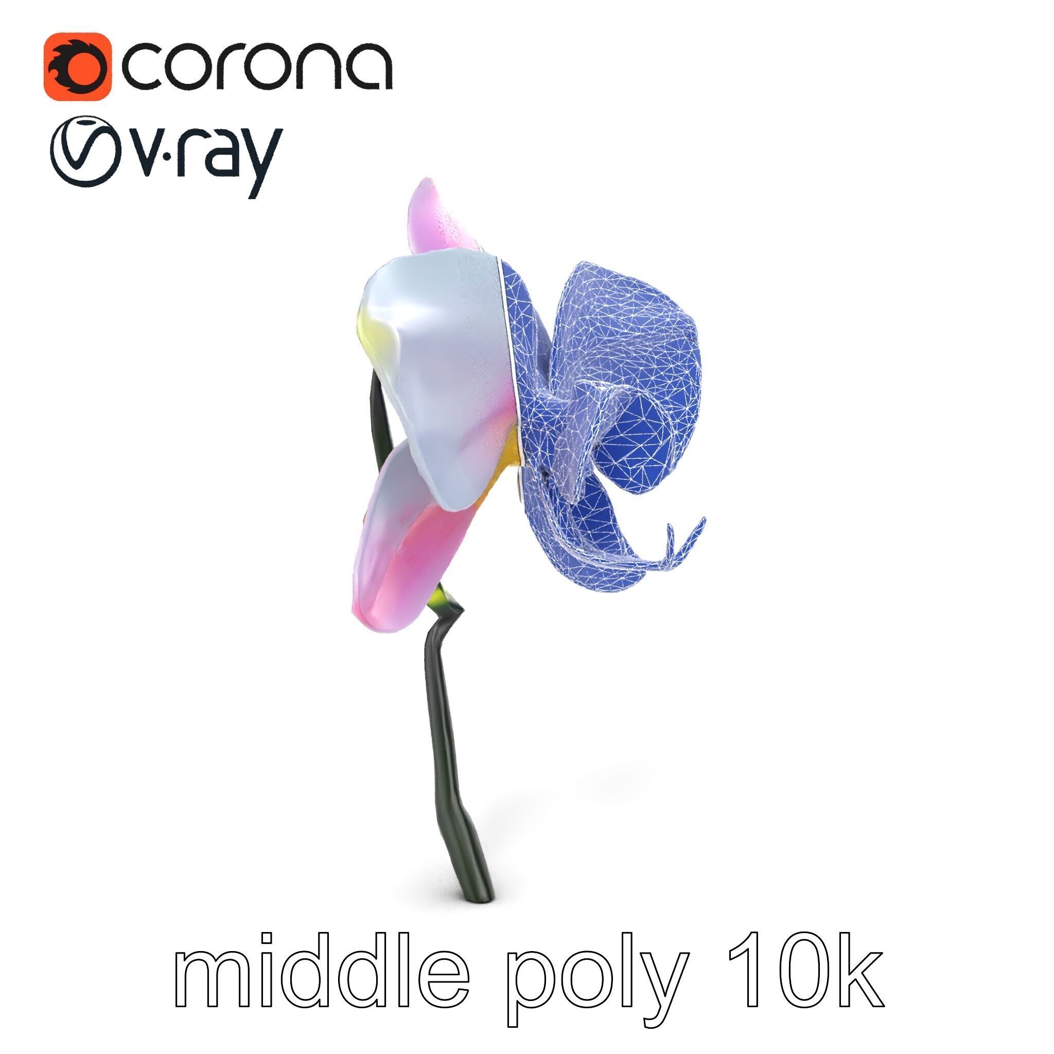 Cymbidium Elegant Petal Orchid 3D Model Pack Low-poly 3D model_24