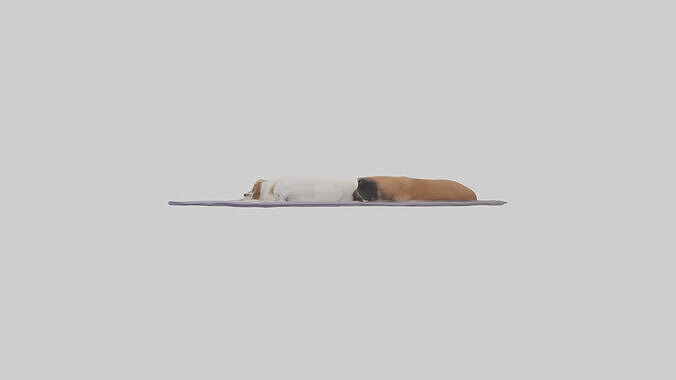 Pet Room Low-poly 3D model 2