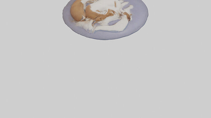 Pet Room Low-poly 3D model 7