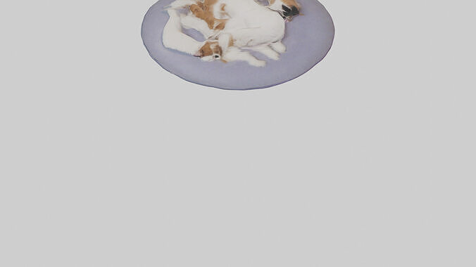 Pet Room Low-poly 3D model 6