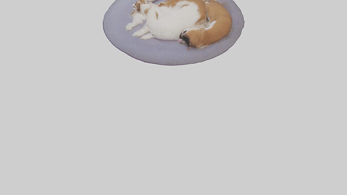 Pet Room Low-poly 3D model 4